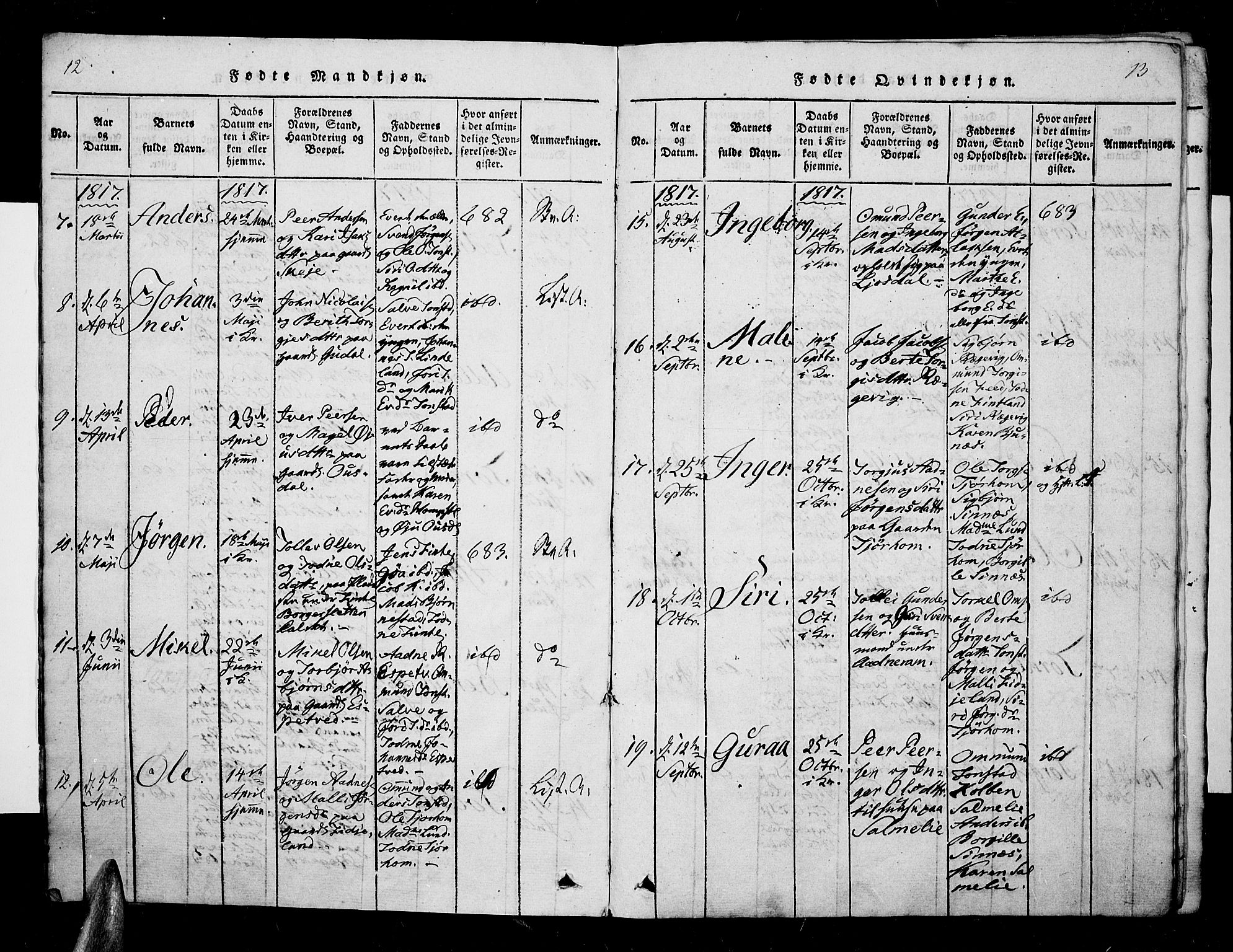 Sirdal sokneprestkontor, AV/SAK-1111-0036/F/Fa/Fab/L0001: Parish register (official) no. A 1, 1815-1834, p. 12-13