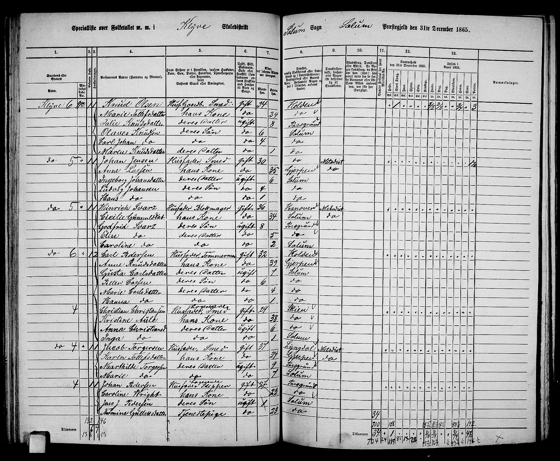 RA, 1865 census for Solum, 1865, p. 94