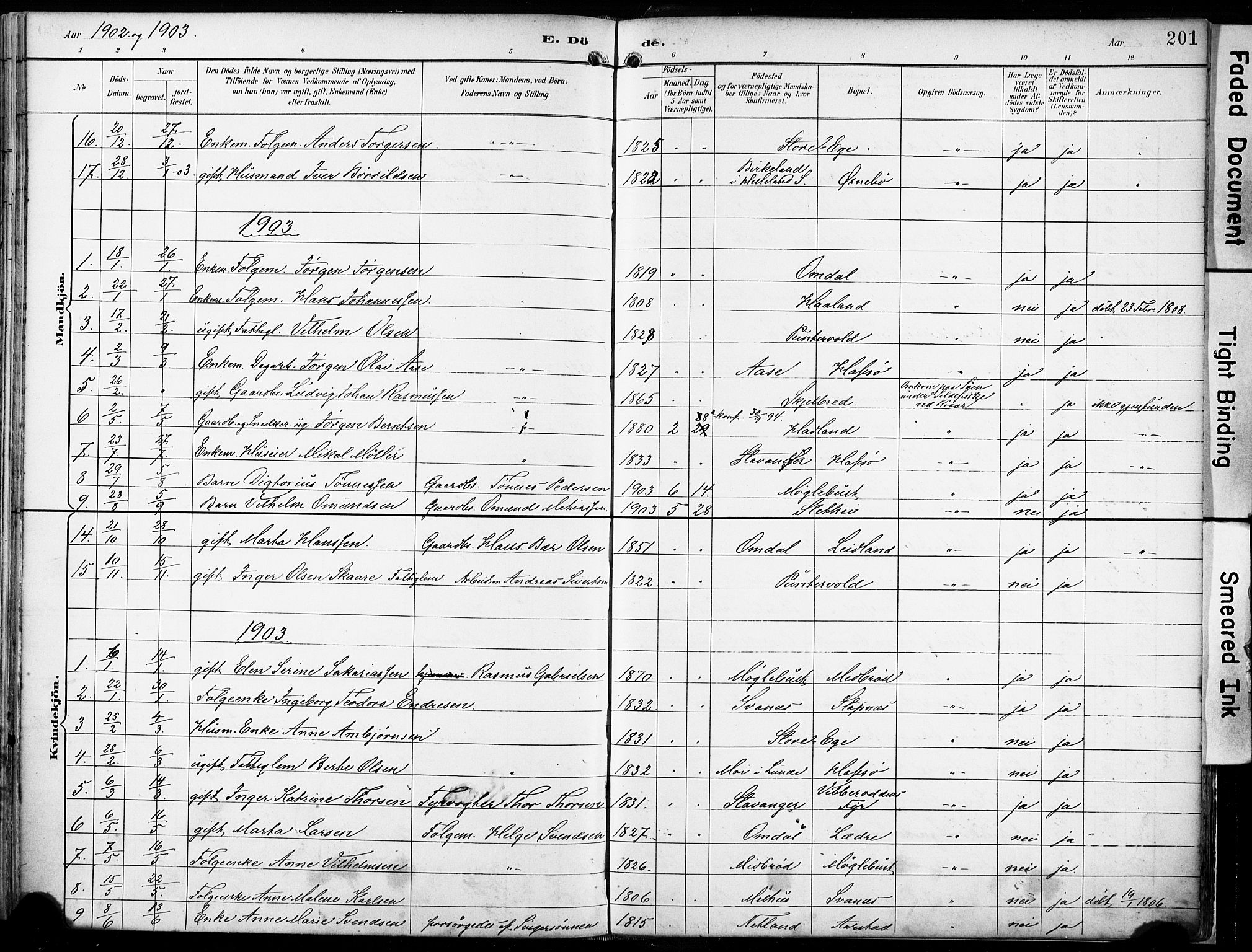 Eigersund sokneprestkontor, SAST/A-101807/S08/L0018: Parish register (official) no. A 17, 1892-1905, p. 201