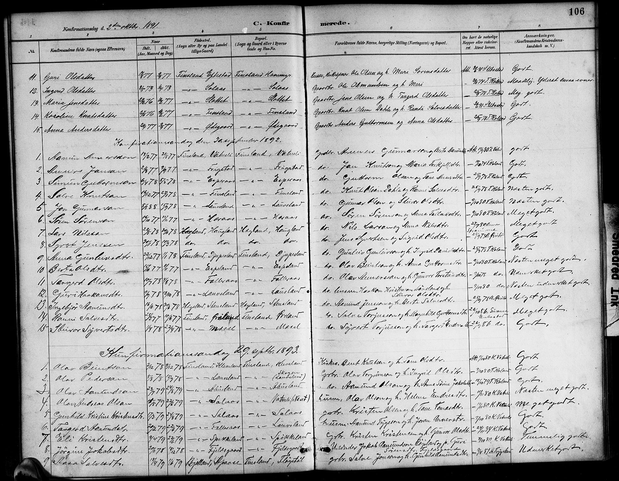 Bjelland sokneprestkontor, SAK/1111-0005/F/Fb/Fbb/L0005: Parish register (copy) no. B 5, 1887-1918, p. 106