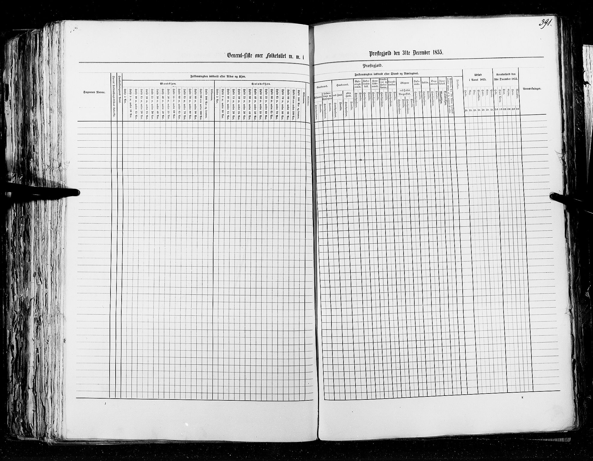 RA, Census 1855, vol. 5: Nordre Bergenhus amt, Romsdal amt og Søndre Trondhjem amt, 1855, p. 391