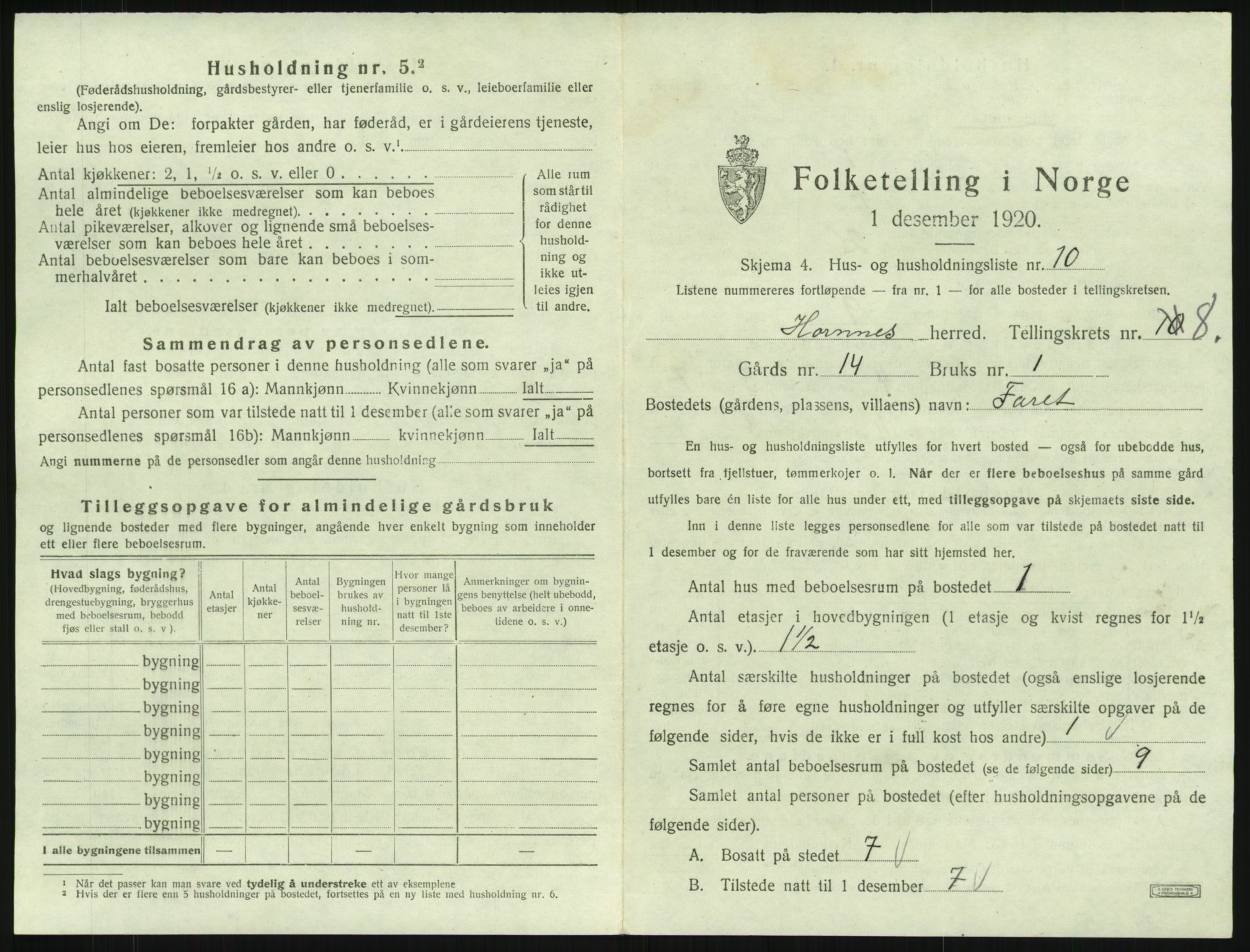 SAK, 1920 census for Hornnes, 1920, p. 313