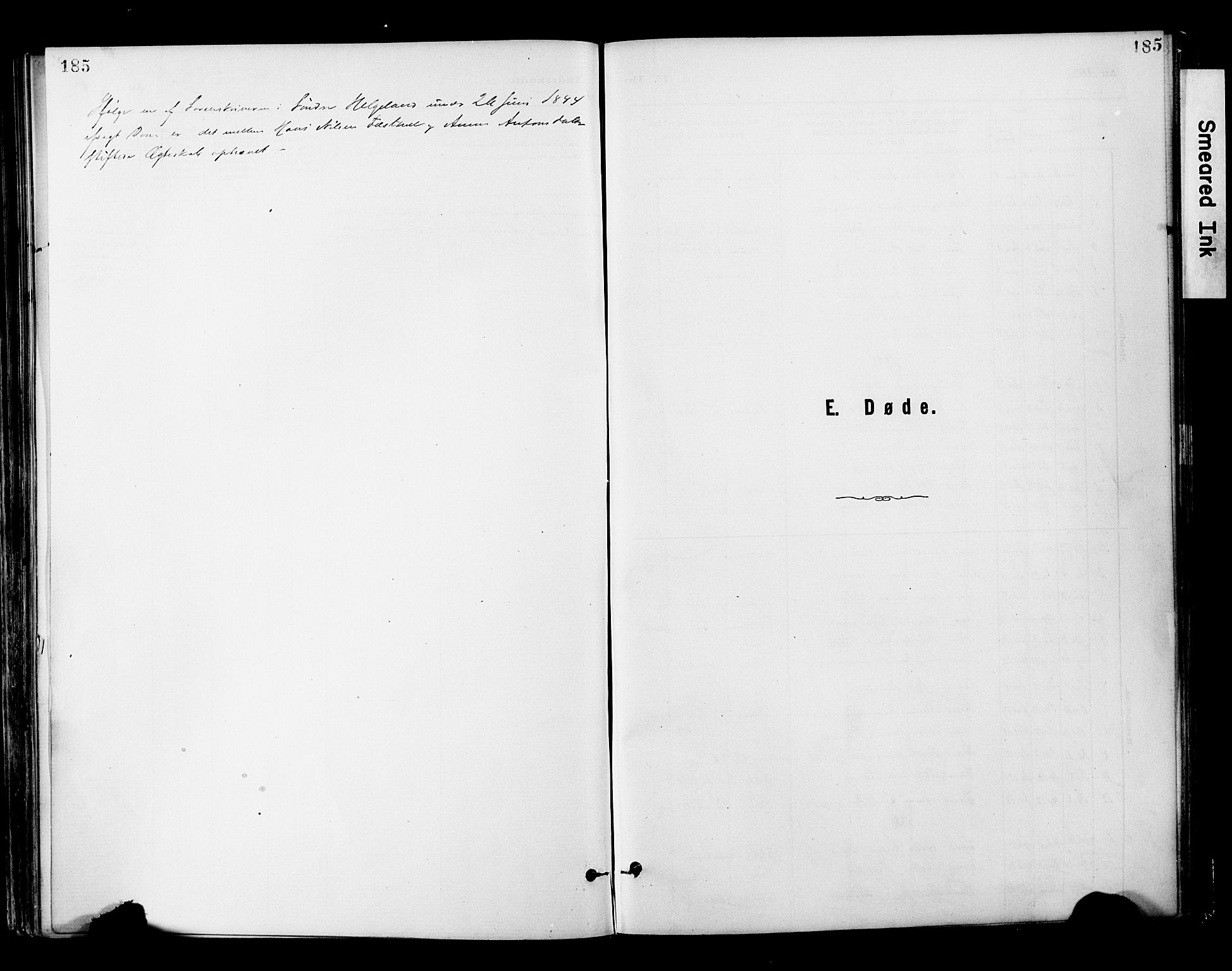 Ministerialprotokoller, klokkerbøker og fødselsregistre - Nordland, SAT/A-1459/820/L0296: Parish register (official) no. 820A17, 1880-1903, p. 185