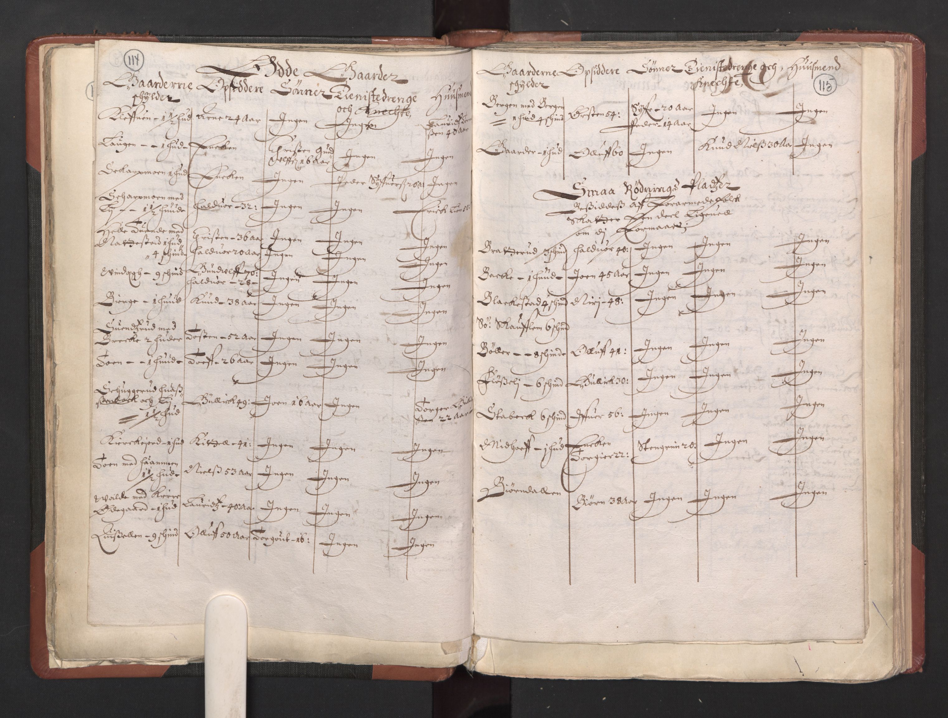 RA, Bailiff's Census 1664-1666, no. 5: Modern Buskerud county and modern Vestfold county, 1664, p. 114-115