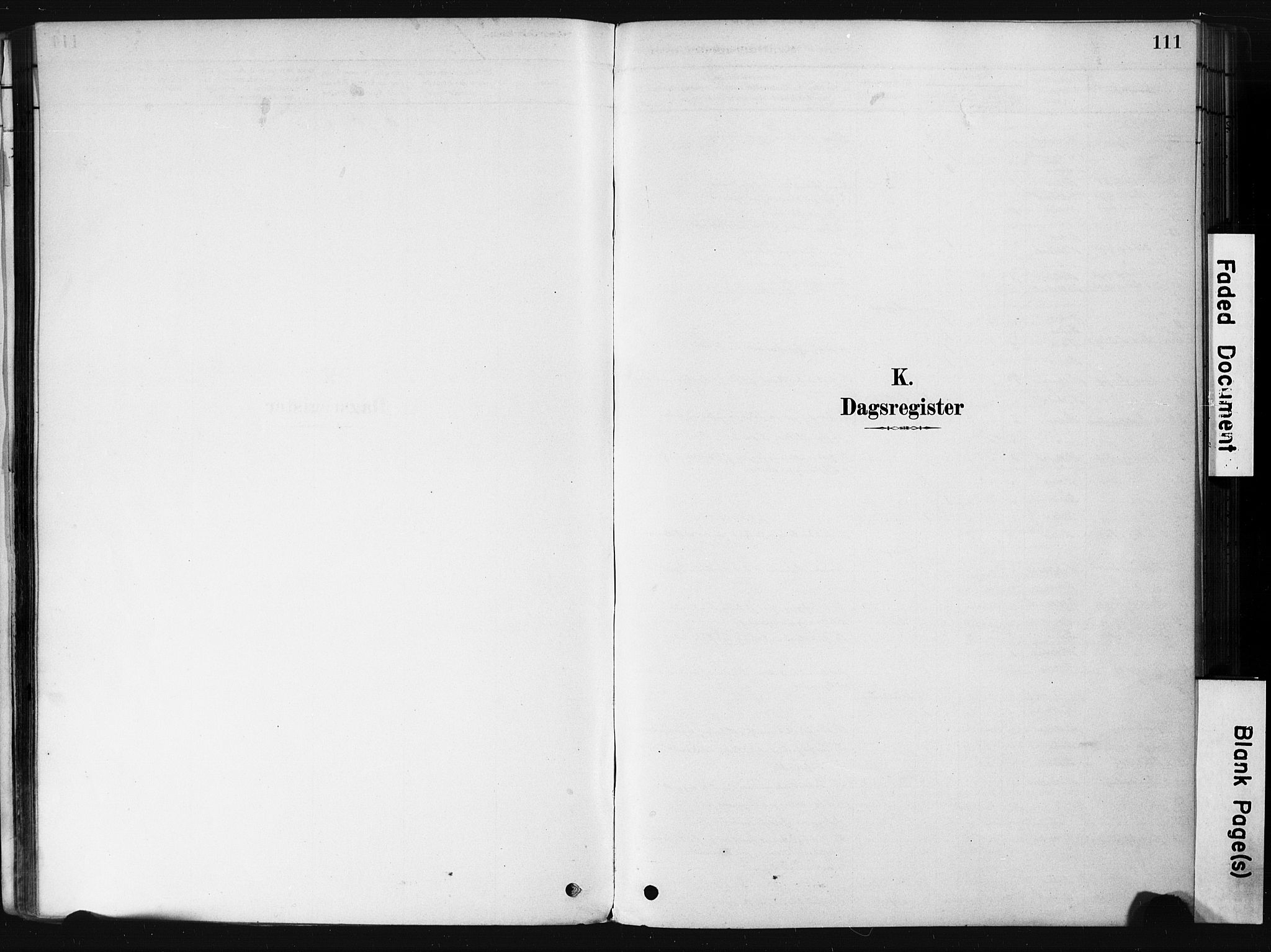 Botne kirkebøker, SAKO/A-340/F/Fb/L0001: Parish register (official) no. II 1, 1878-1902, p. 111