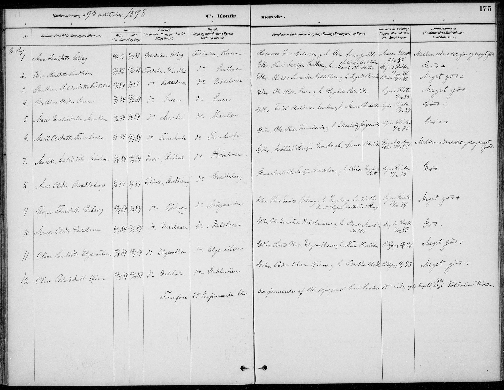 Alvdal prestekontor, AV/SAH-PREST-060/H/Ha/Haa/L0003: Parish register (official) no. 3, 1886-1912, p. 175