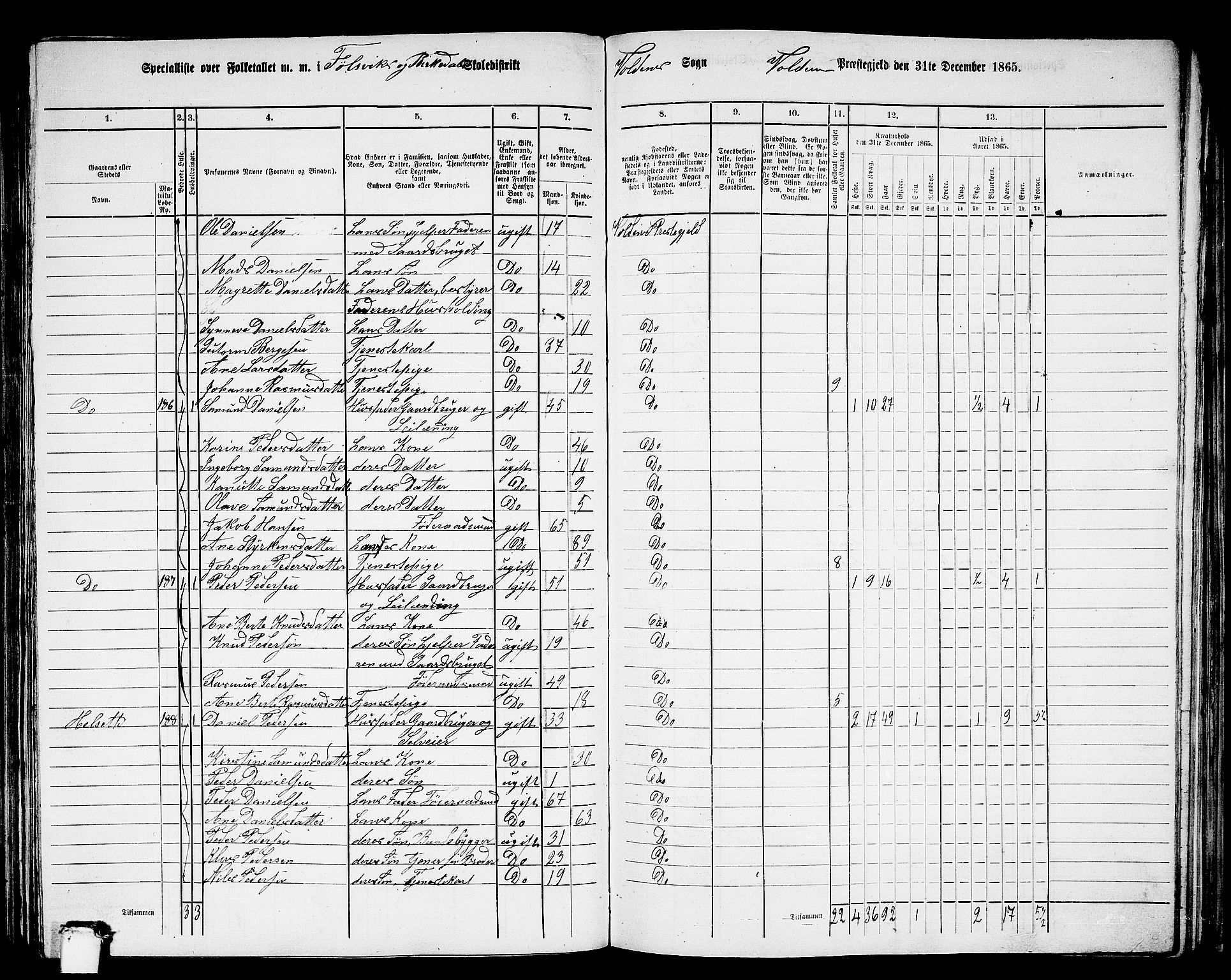 RA, 1865 census for Volda, 1865, p. 113