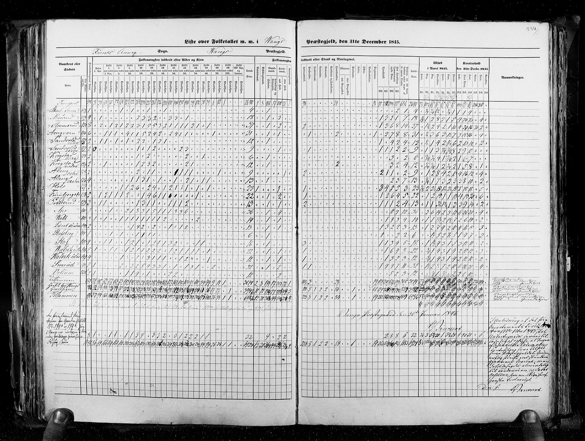 RA, Census 1845, vol. 3: Hedemarken amt og Kristians amt, 1845, p. 234