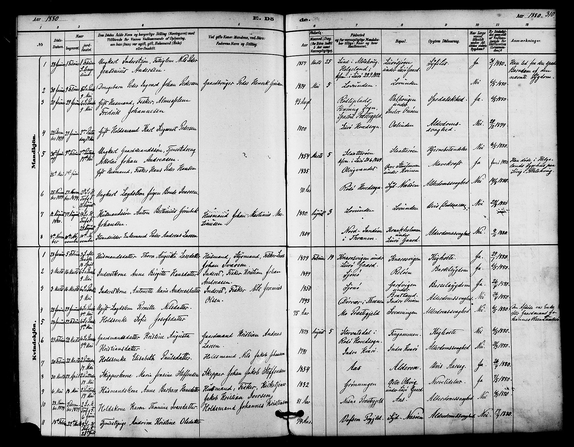 Ministerialprotokoller, klokkerbøker og fødselsregistre - Nordland, SAT/A-1459/839/L0568: Parish register (official) no. 839A05, 1880-1902, p. 310