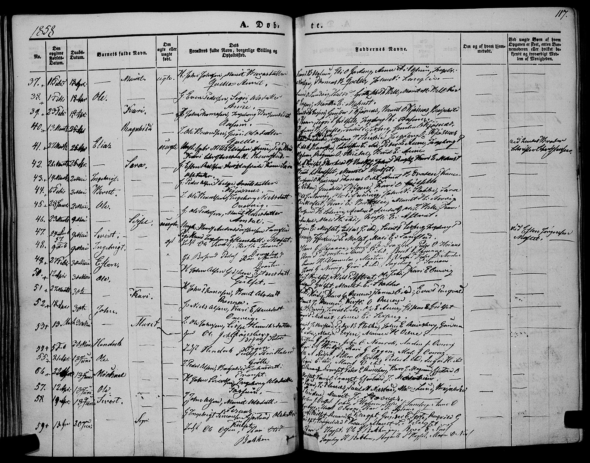 Ministerialprotokoller, klokkerbøker og fødselsregistre - Sør-Trøndelag, AV/SAT-A-1456/695/L1145: Parish register (official) no. 695A06 /1, 1843-1859, p. 117