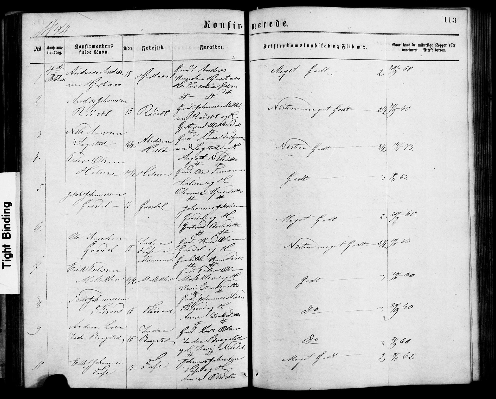 Alversund Sokneprestembete, SAB/A-73901/H/Ha/Hab: Parish register (copy) no. C 2, 1867-1880, p. 113