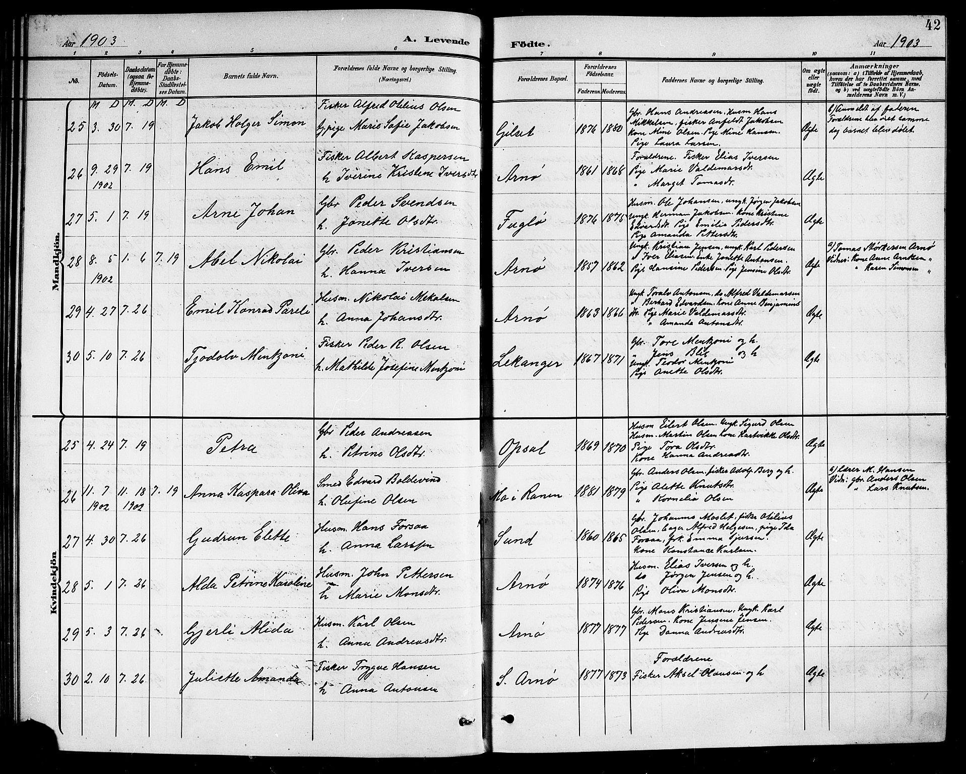 Ministerialprotokoller, klokkerbøker og fødselsregistre - Nordland, AV/SAT-A-1459/805/L0109: Parish register (copy) no. 805C05, 1900-1911, p. 42