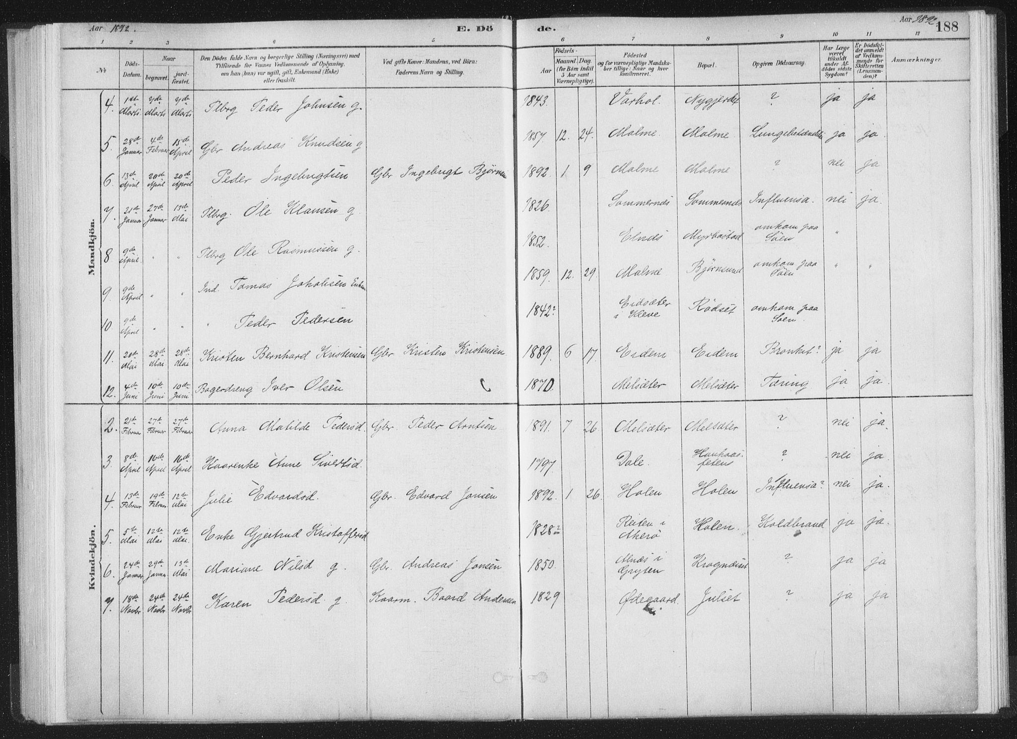 Ministerialprotokoller, klokkerbøker og fødselsregistre - Møre og Romsdal, AV/SAT-A-1454/564/L0740: Parish register (official) no. 564A01, 1880-1899, p. 188