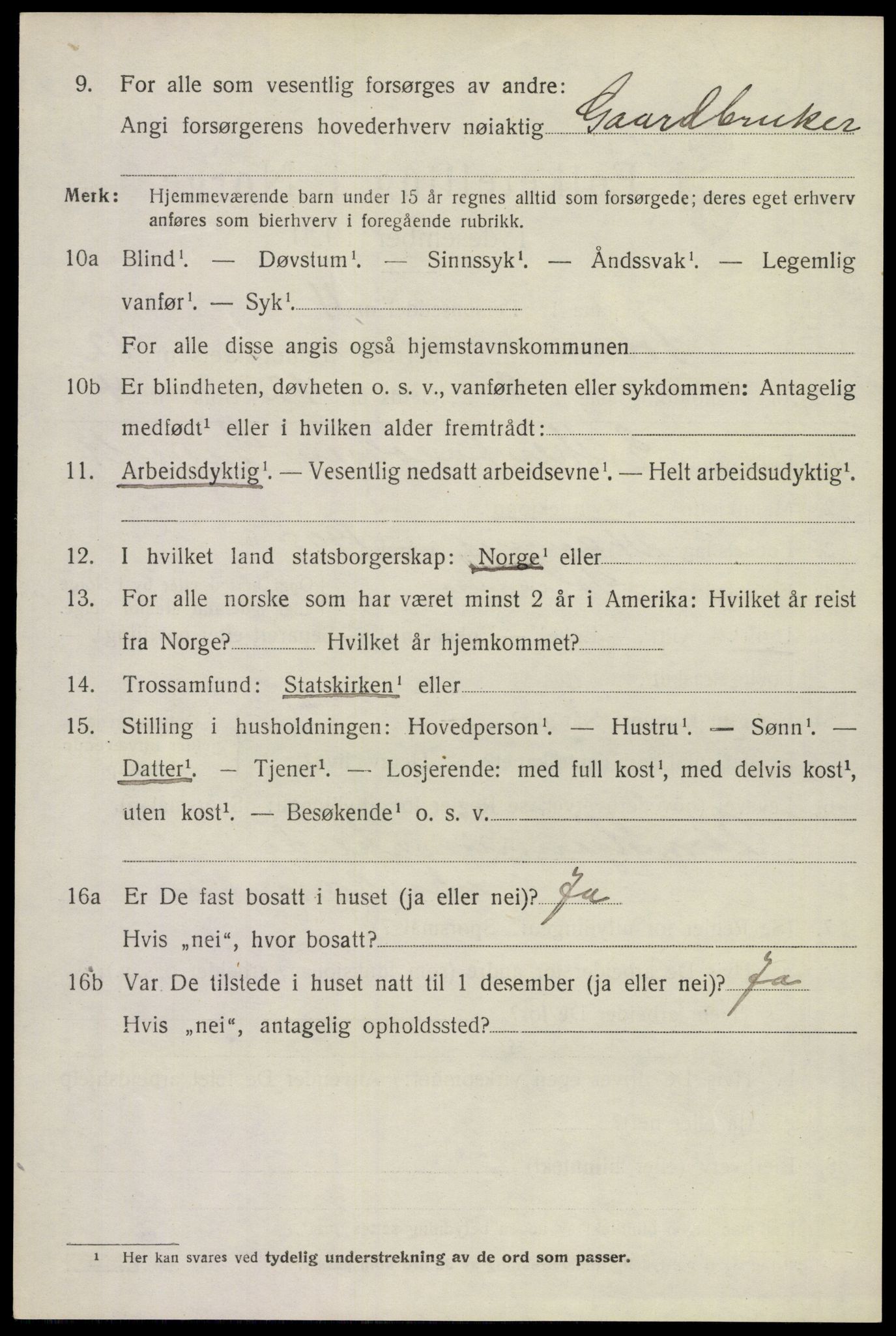 SAKO, 1920 census for Solum, 1920, p. 17039