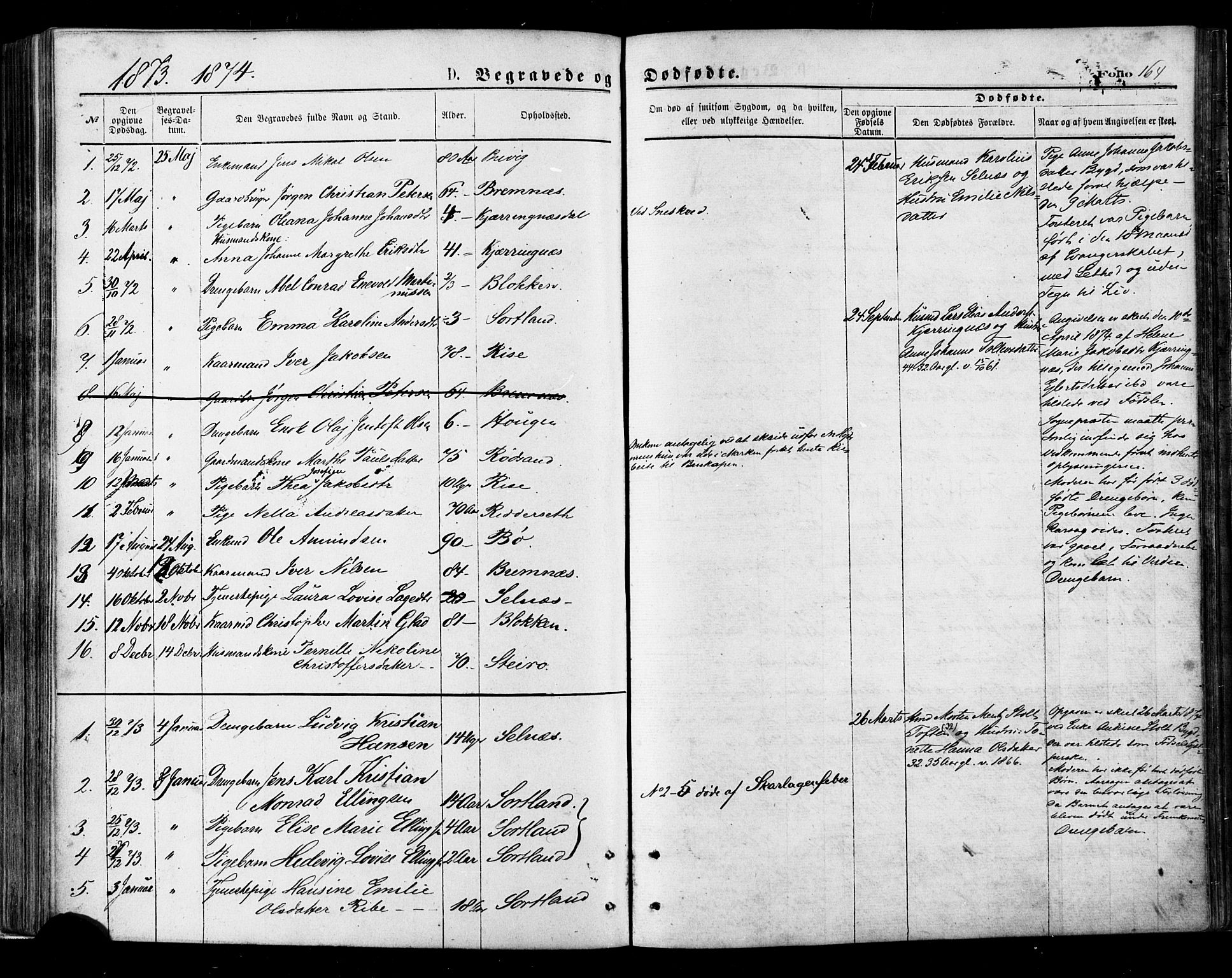 Ministerialprotokoller, klokkerbøker og fødselsregistre - Nordland, AV/SAT-A-1459/895/L1370: Parish register (official) no. 895A05, 1873-1884, p. 164