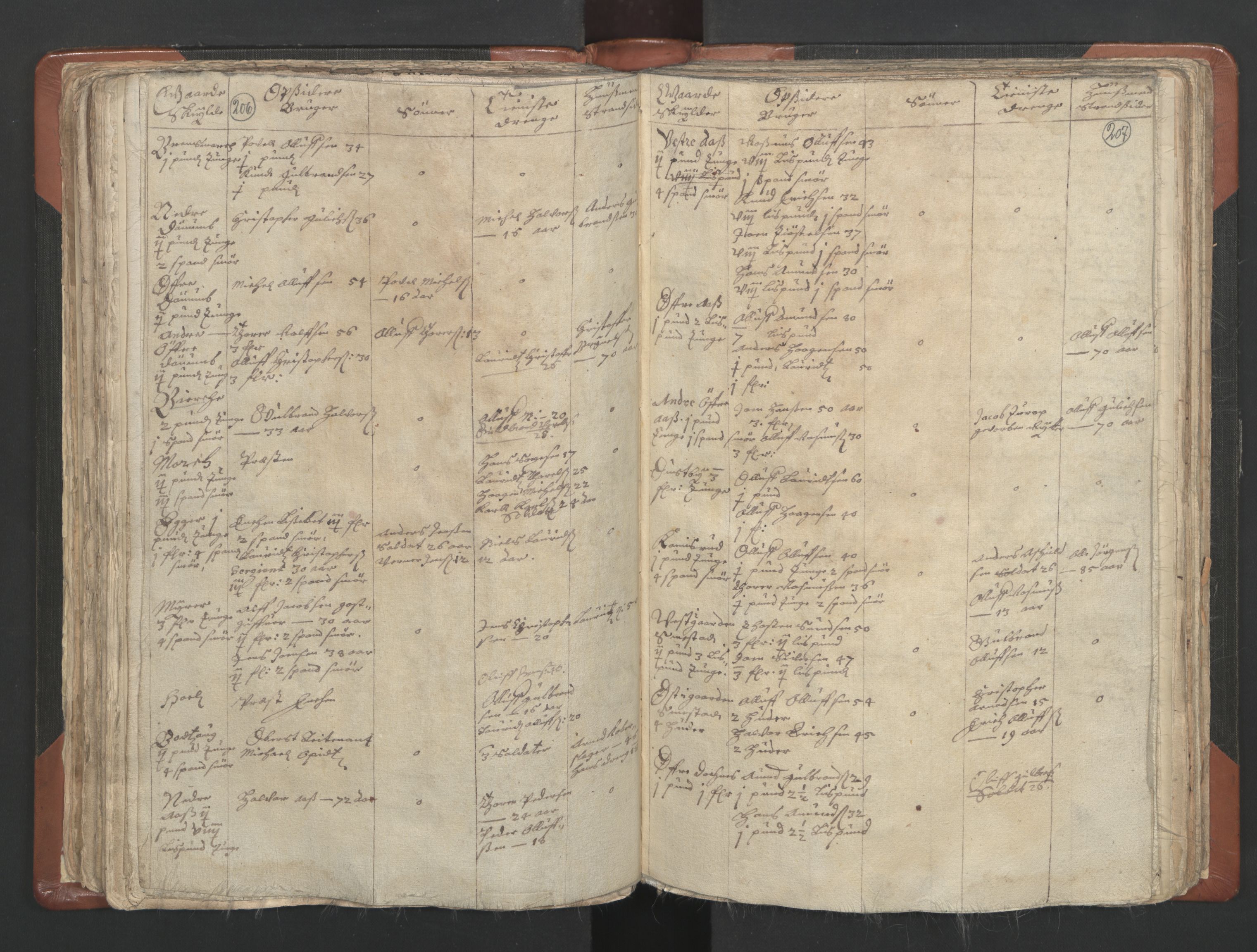 RA, Vicar's Census 1664-1666, no. 4: Øvre Romerike deanery, 1664-1666, p. 206-207