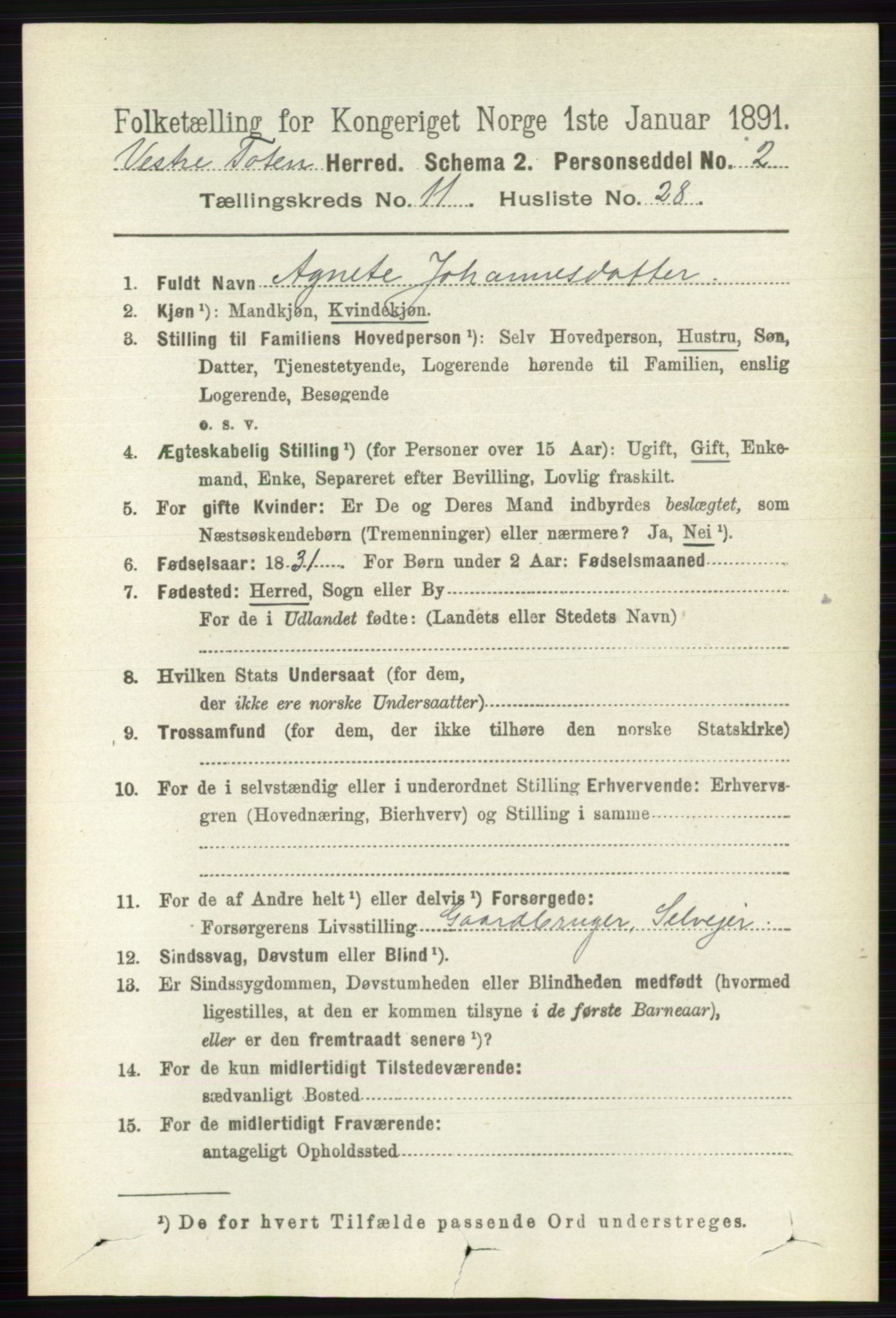 RA, 1891 census for 0529 Vestre Toten, 1891, p. 6851