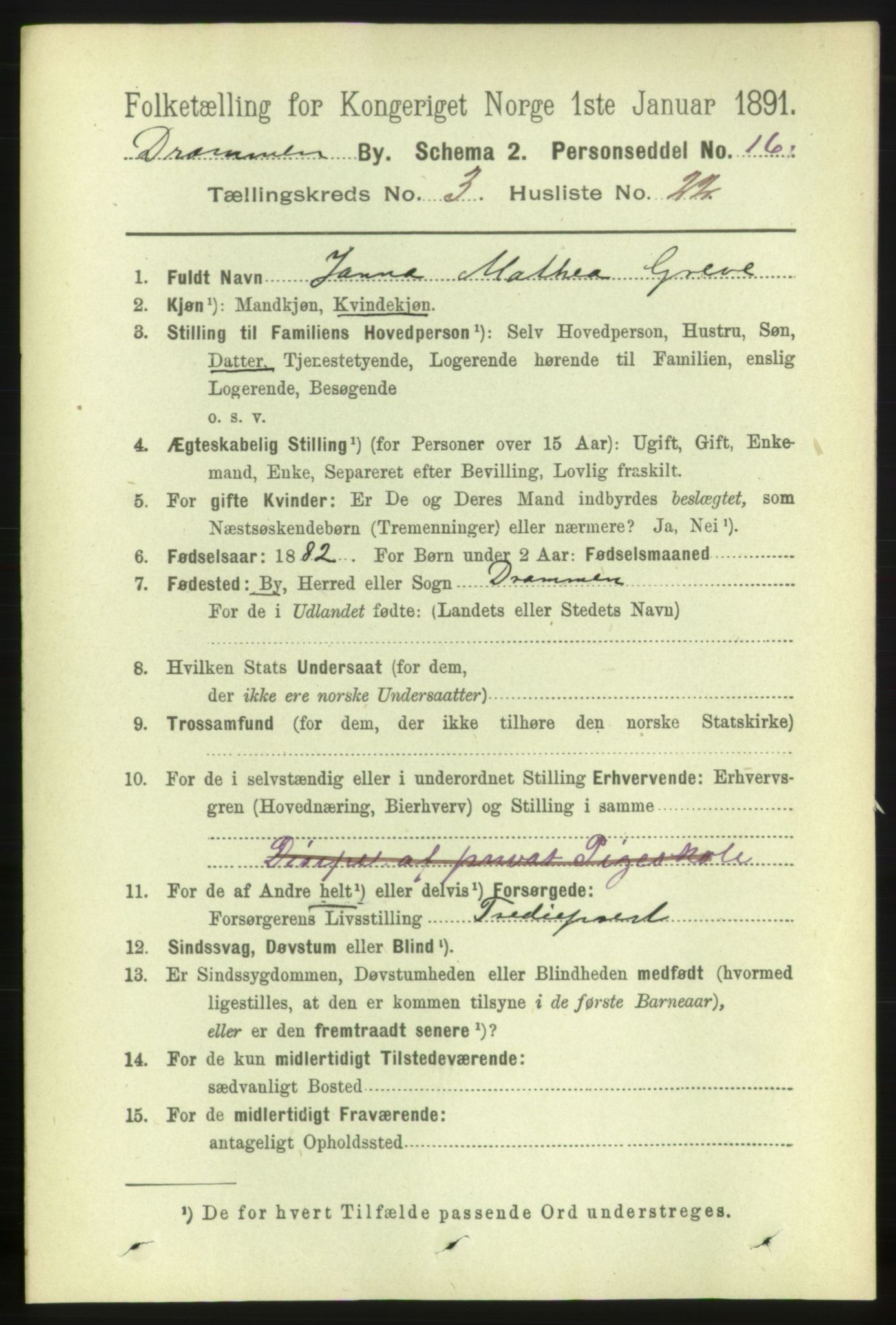 RA, 1891 census for 0602 Drammen, 1891, p. 5110