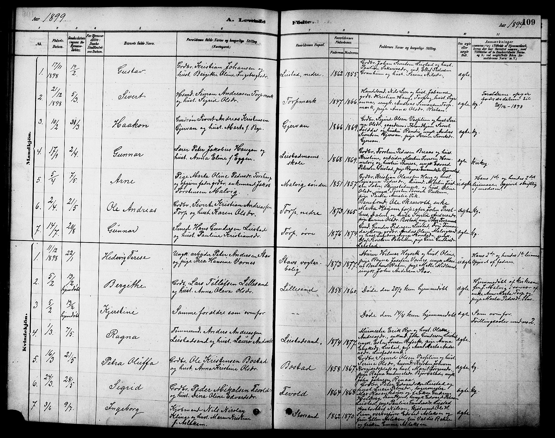 Ministerialprotokoller, klokkerbøker og fødselsregistre - Sør-Trøndelag, SAT/A-1456/616/L0423: Parish register (copy) no. 616C06, 1878-1903, p. 109