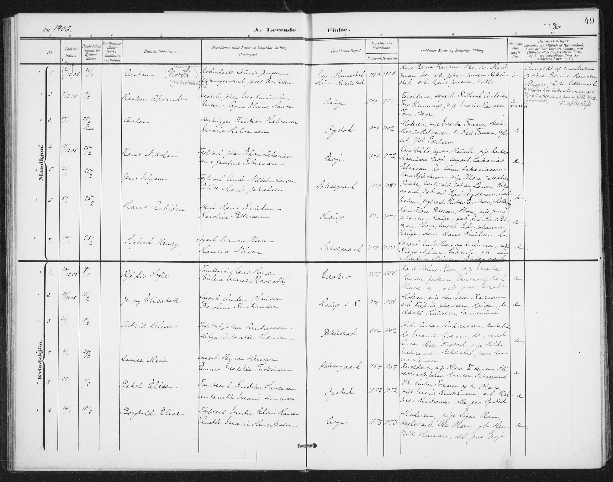 Rolvsøy prestekontor Kirkebøker, AV/SAO-A-2004/F/Fa/L0001: Parish register (official) no. 1, 1901-1909, p. 49