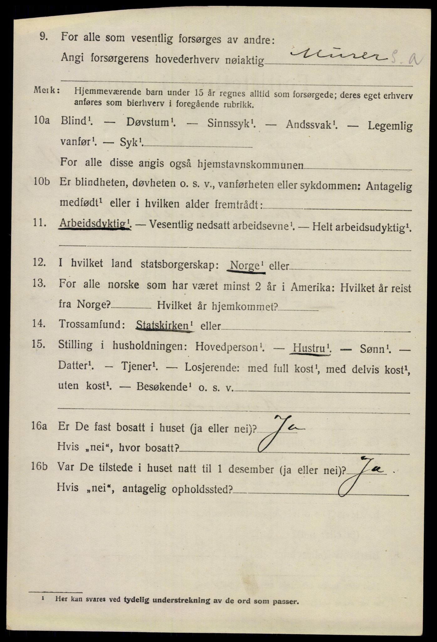 SAO, 1920 census for Nes, 1920, p. 11943