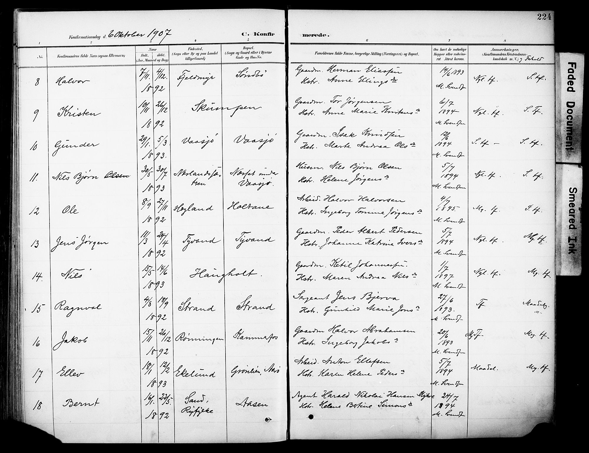 Sannidal kirkebøker, AV/SAKO-A-296/F/Fa/L0016: Parish register (official) no. 16, 1895-1911, p. 224