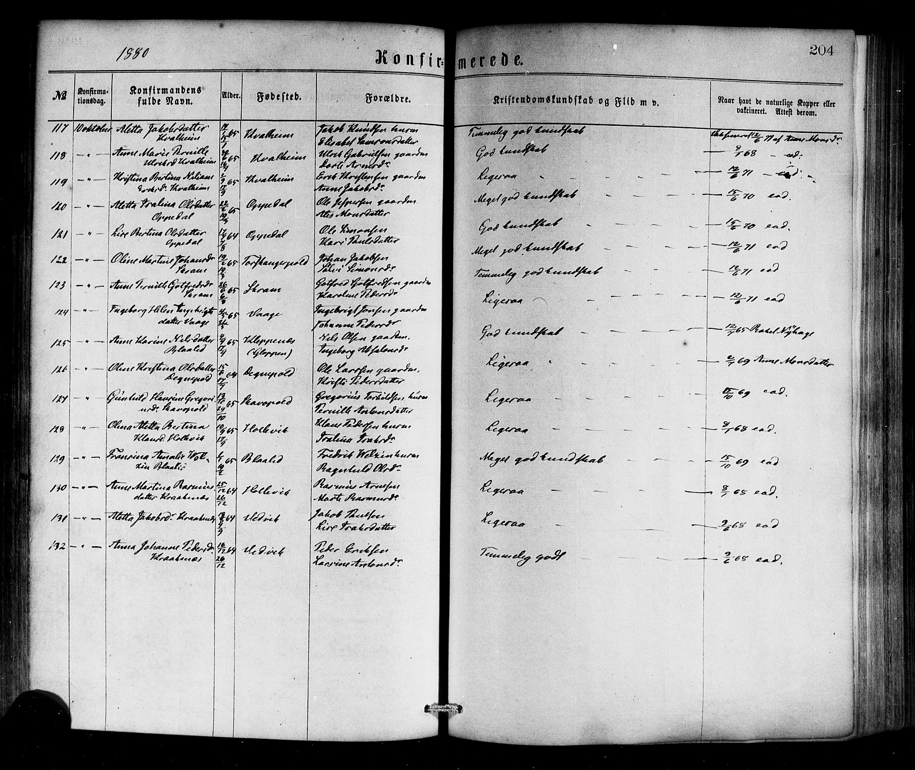 Selje sokneprestembete, SAB/A-99938/H/Ha/Haa/Haaa: Parish register (official) no. A 12, 1870-1880, p. 204