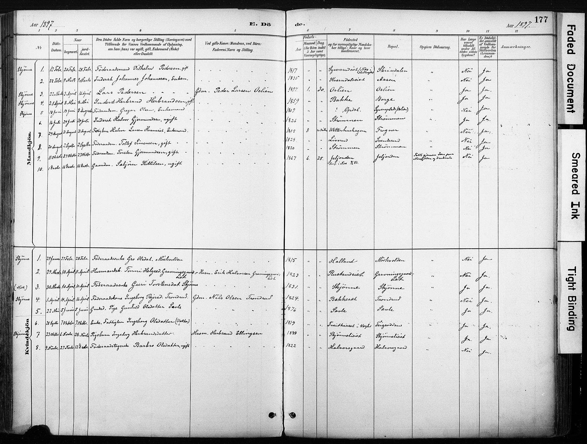 Nore kirkebøker, SAKO/A-238/F/Fb/L0002: Parish register (official) no. II 2, 1886-1906, p. 177