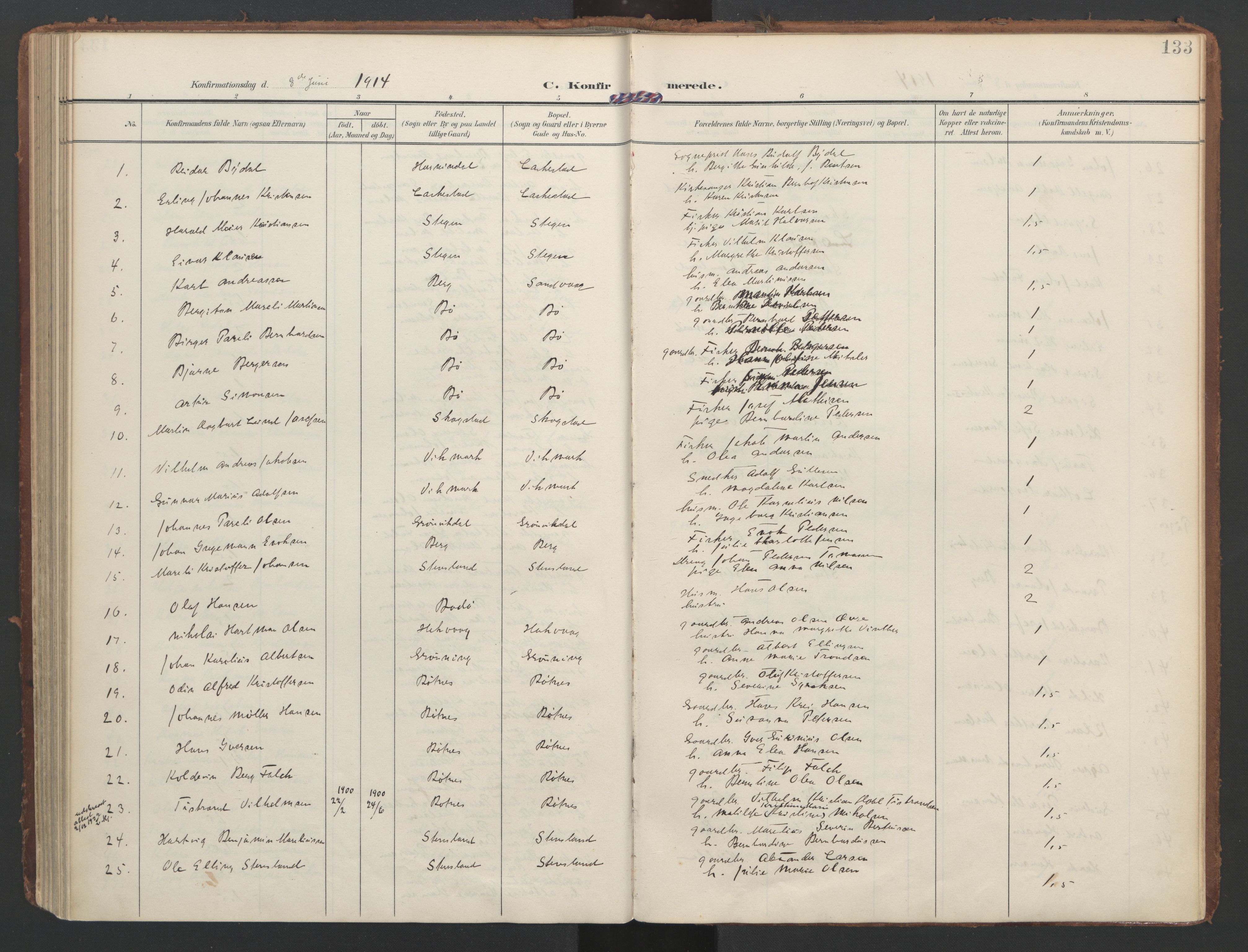 Ministerialprotokoller, klokkerbøker og fødselsregistre - Nordland, AV/SAT-A-1459/855/L0805: Parish register (official) no. 855A13, 1906-1920, p. 133