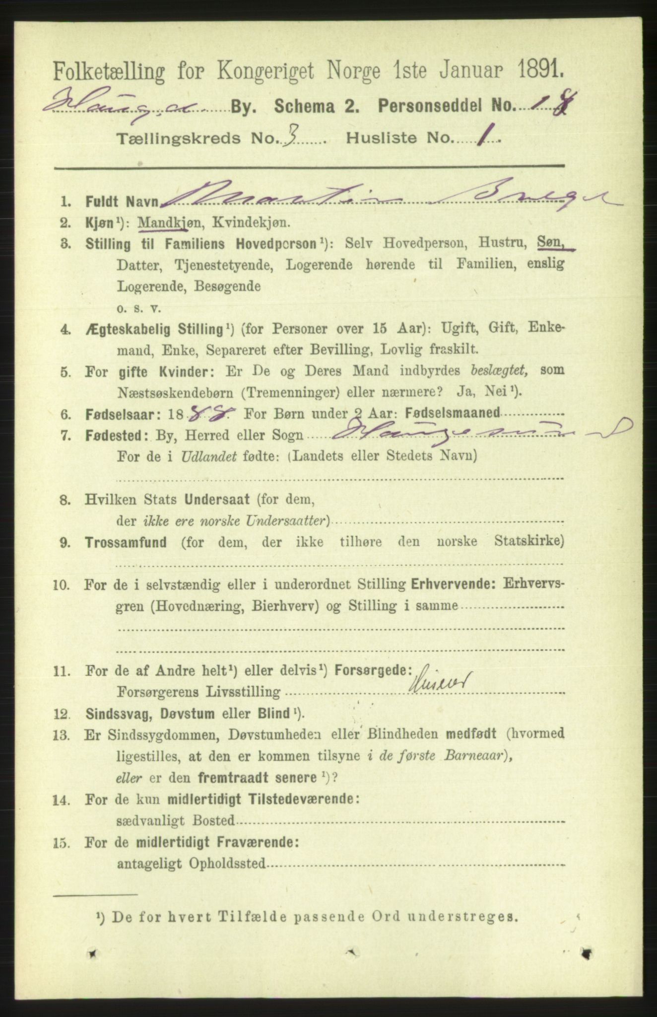 RA, 1891 census for 1106 Haugesund, 1891, p. 1059