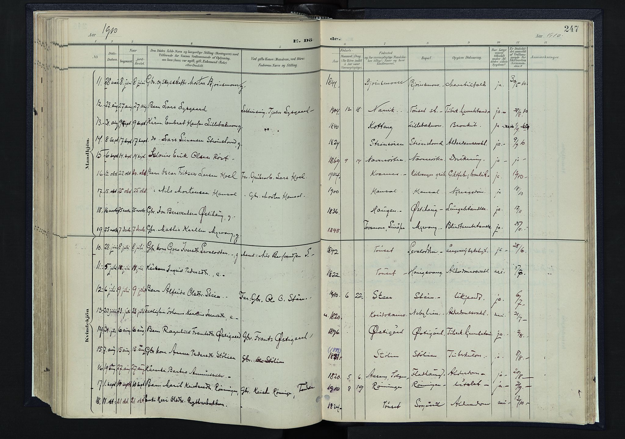 Tynset prestekontor, AV/SAH-PREST-058/H/Ha/Haa/L0025: Parish register (official) no. 25, 1900-1914, p. 247