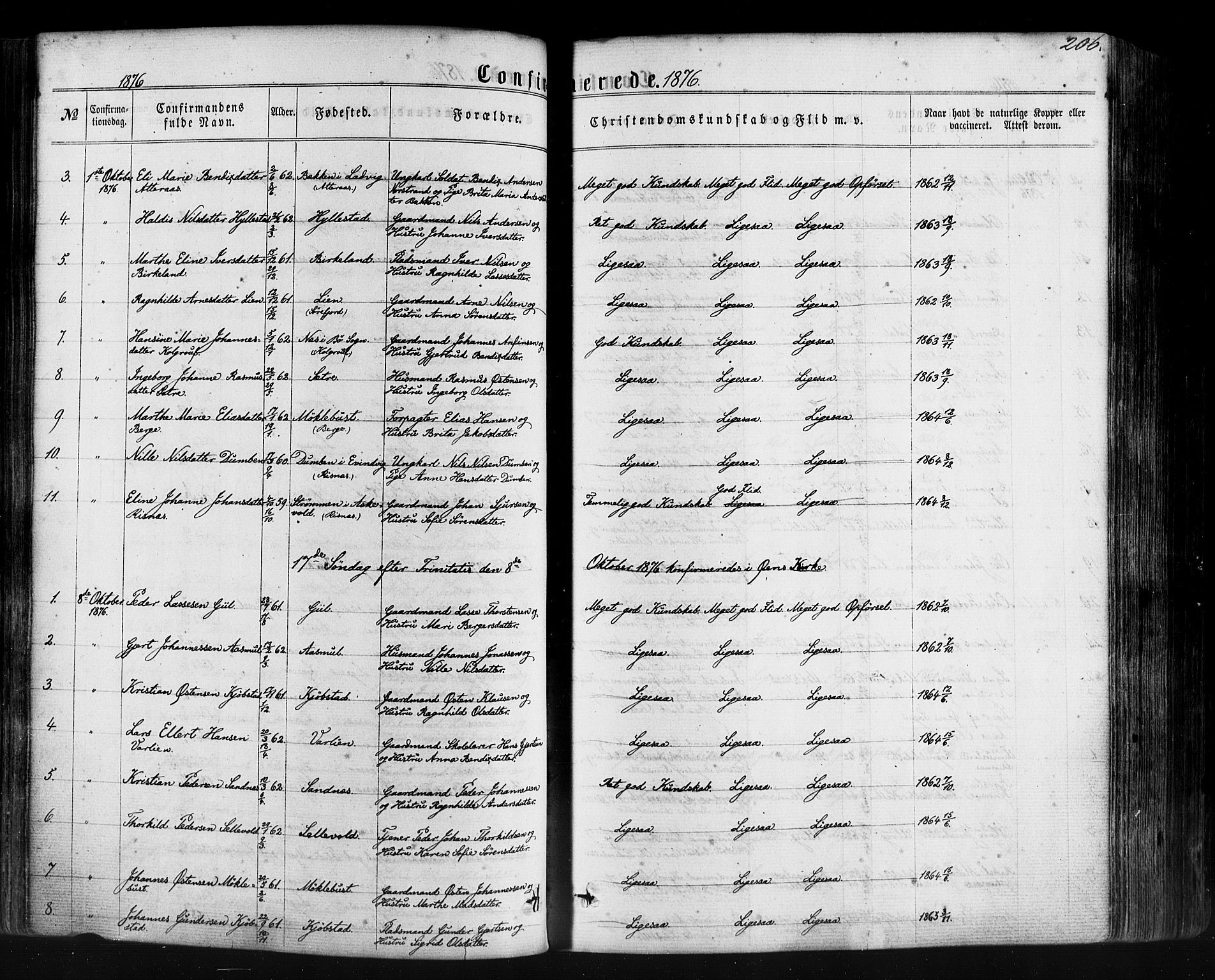 Hyllestad sokneprestembete, AV/SAB-A-80401: Parish register (official) no. A 1, 1861-1886, p. 206