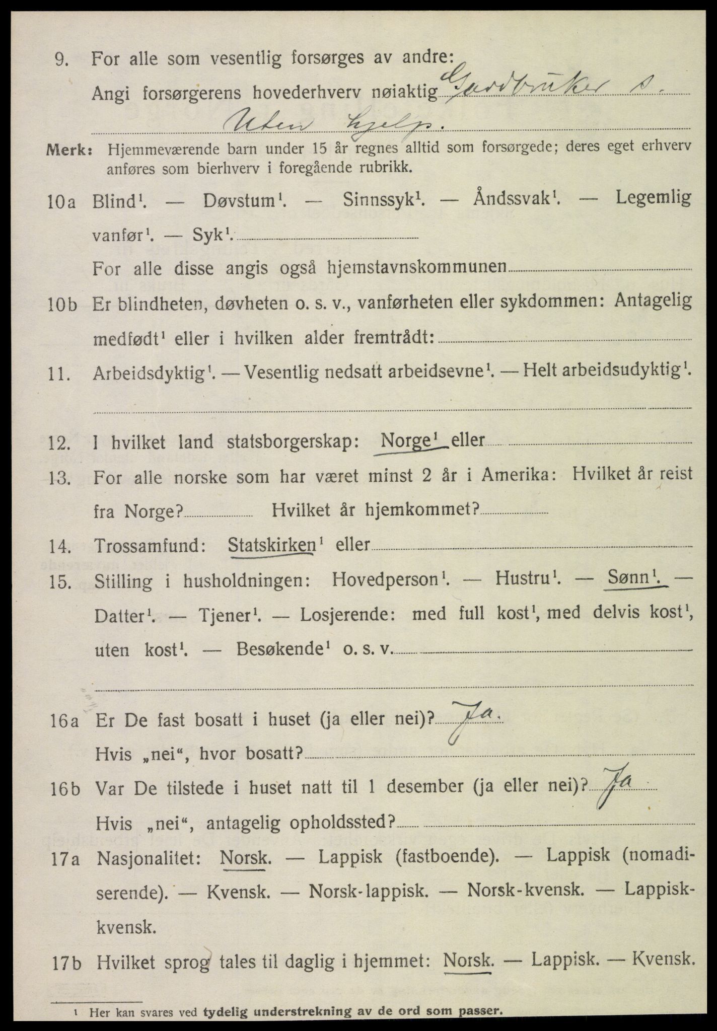 SAT, 1920 census for Lånke, 1920, p. 653