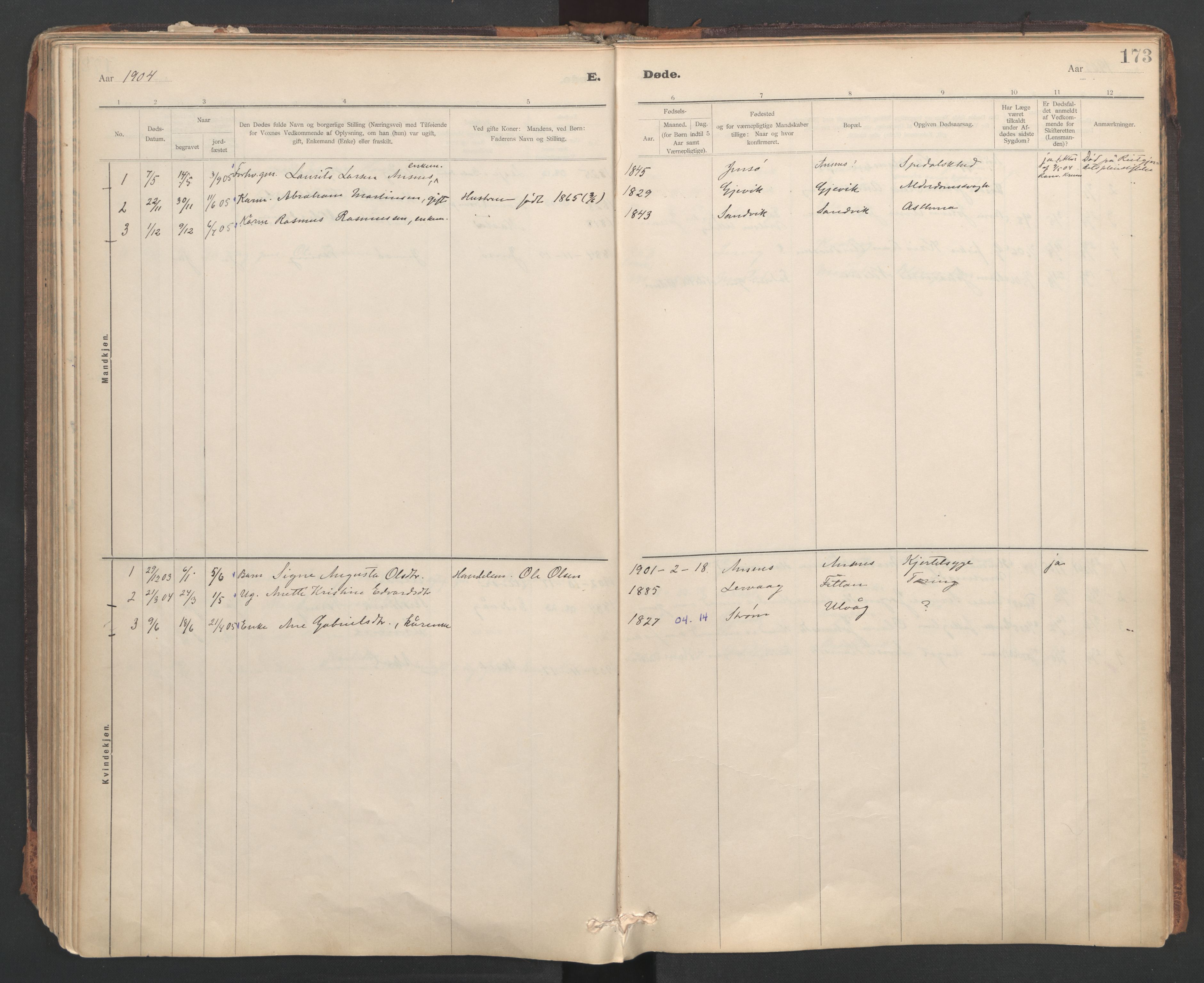 Ministerialprotokoller, klokkerbøker og fødselsregistre - Sør-Trøndelag, SAT/A-1456/637/L0559: Parish register (official) no. 637A02, 1899-1923, p. 173