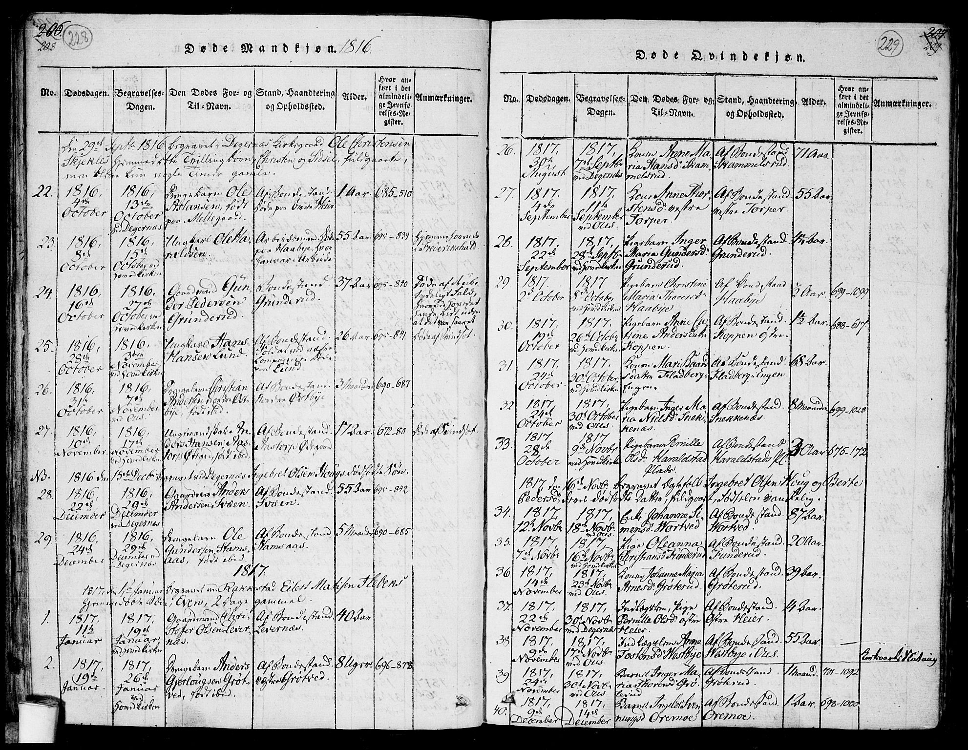 Rakkestad prestekontor Kirkebøker, SAO/A-2008/F/Fa/L0006: Parish register (official) no. I 6, 1814-1824, p. 228-229