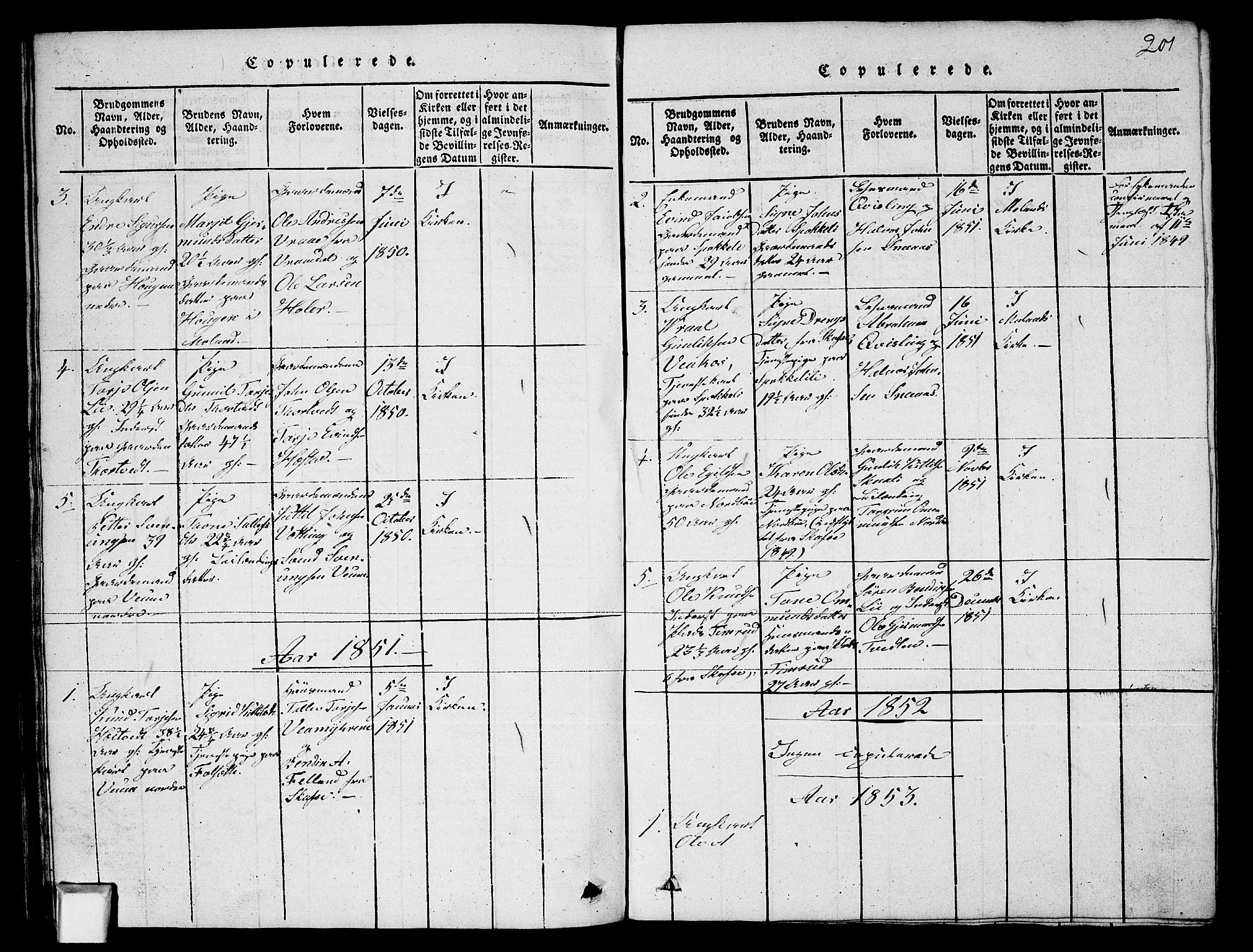 Fyresdal kirkebøker, SAKO/A-263/G/Ga/L0003: Parish register (copy) no. I 3, 1815-1863, p. 201