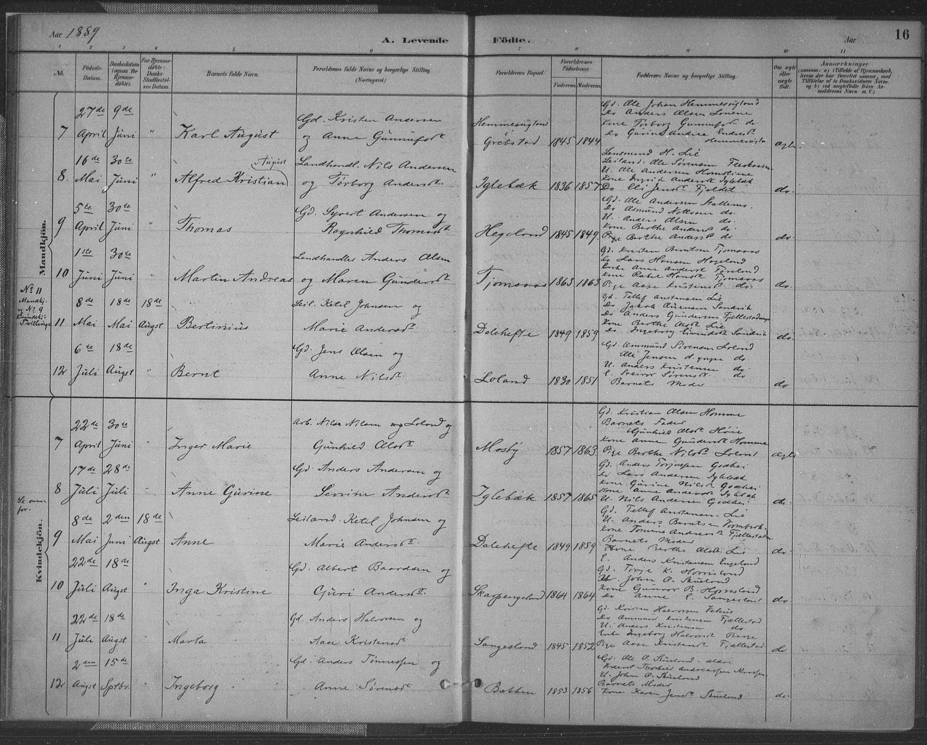 Vennesla sokneprestkontor, SAK/1111-0045/Fa/Fac/L0009: Parish register (official) no. A 9, 1884-1901, p. 16