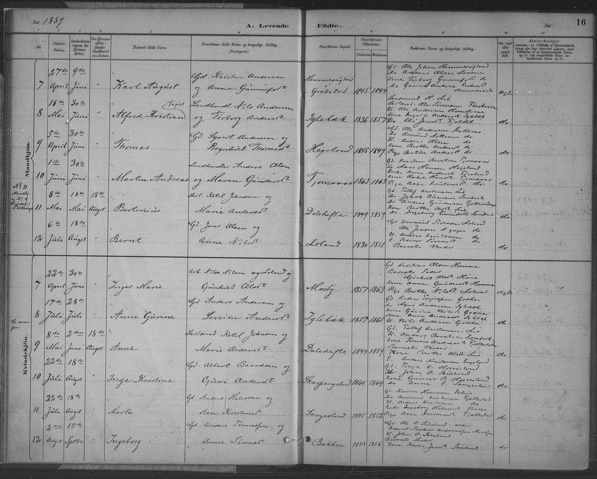 Vennesla sokneprestkontor, AV/SAK-1111-0045/Fa/Fac/L0009: Parish register (official) no. A 9, 1884-1901, p. 16