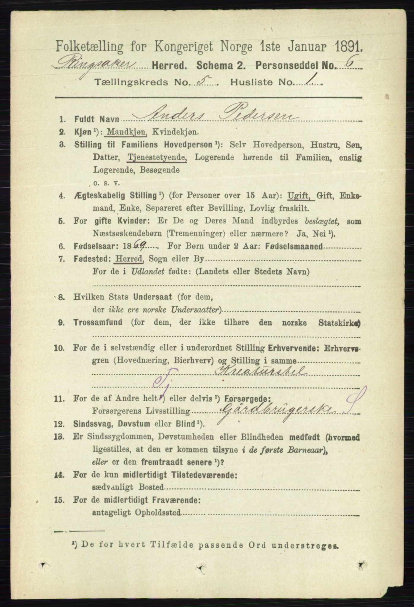RA, 1891 census for 0412 Ringsaker, 1891, p. 2424