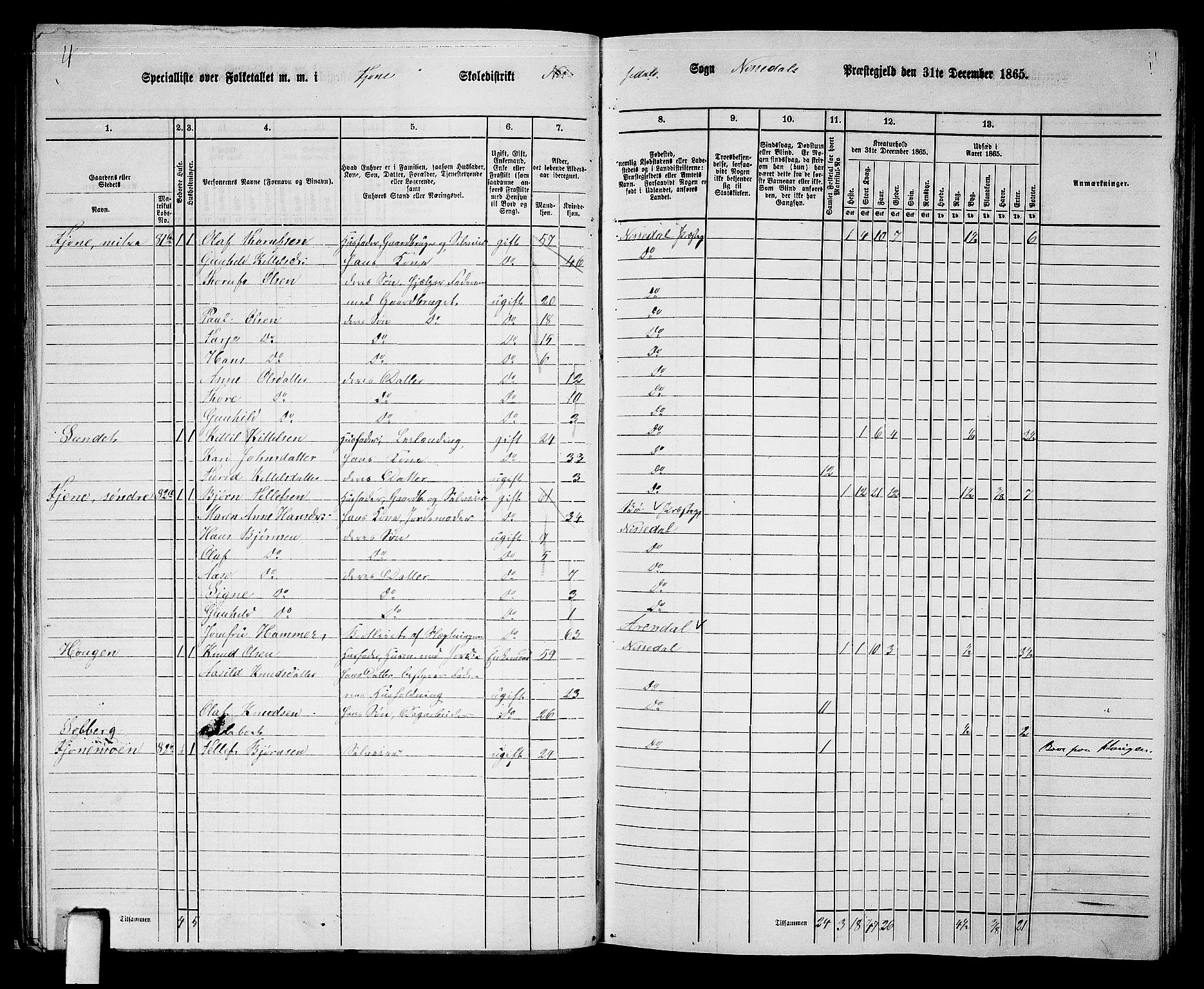 RA, 1865 census for Nissedal, 1865, p. 45