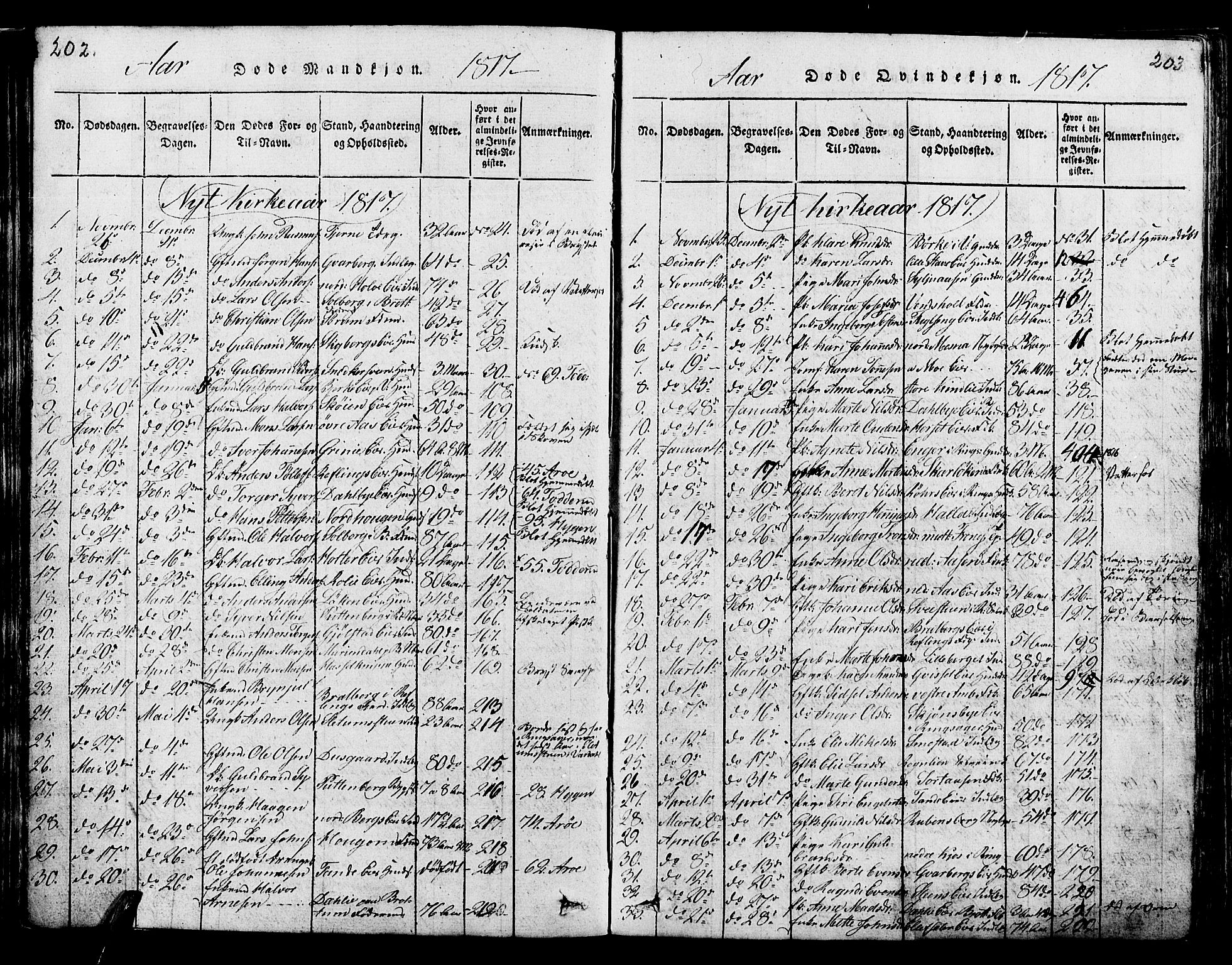 Ringsaker prestekontor, SAH/PREST-014/K/Ka/L0005: Parish register (official) no. 5, 1814-1826, p. 202-203