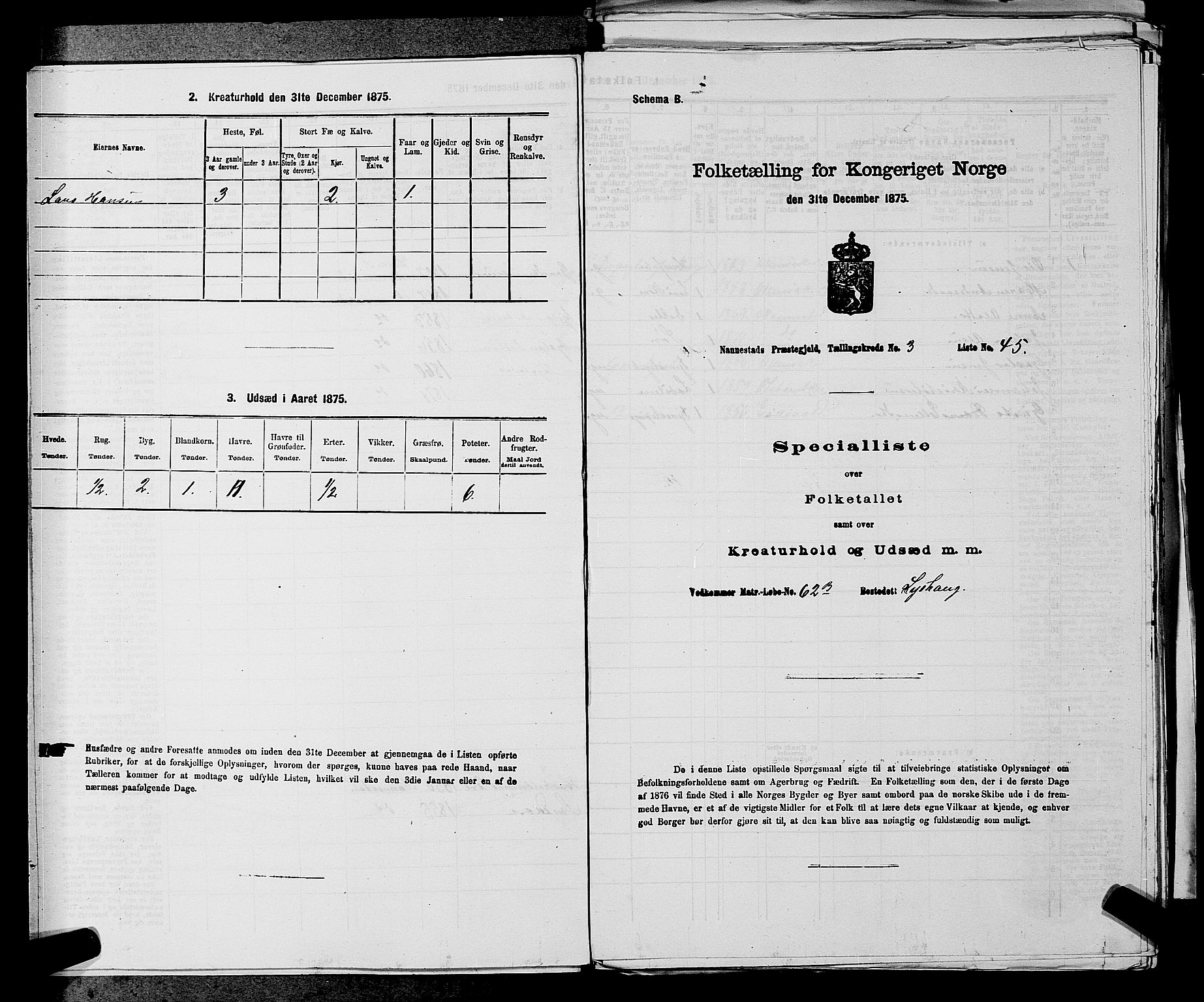 RA, 1875 census for 0238P Nannestad, 1875, p. 416