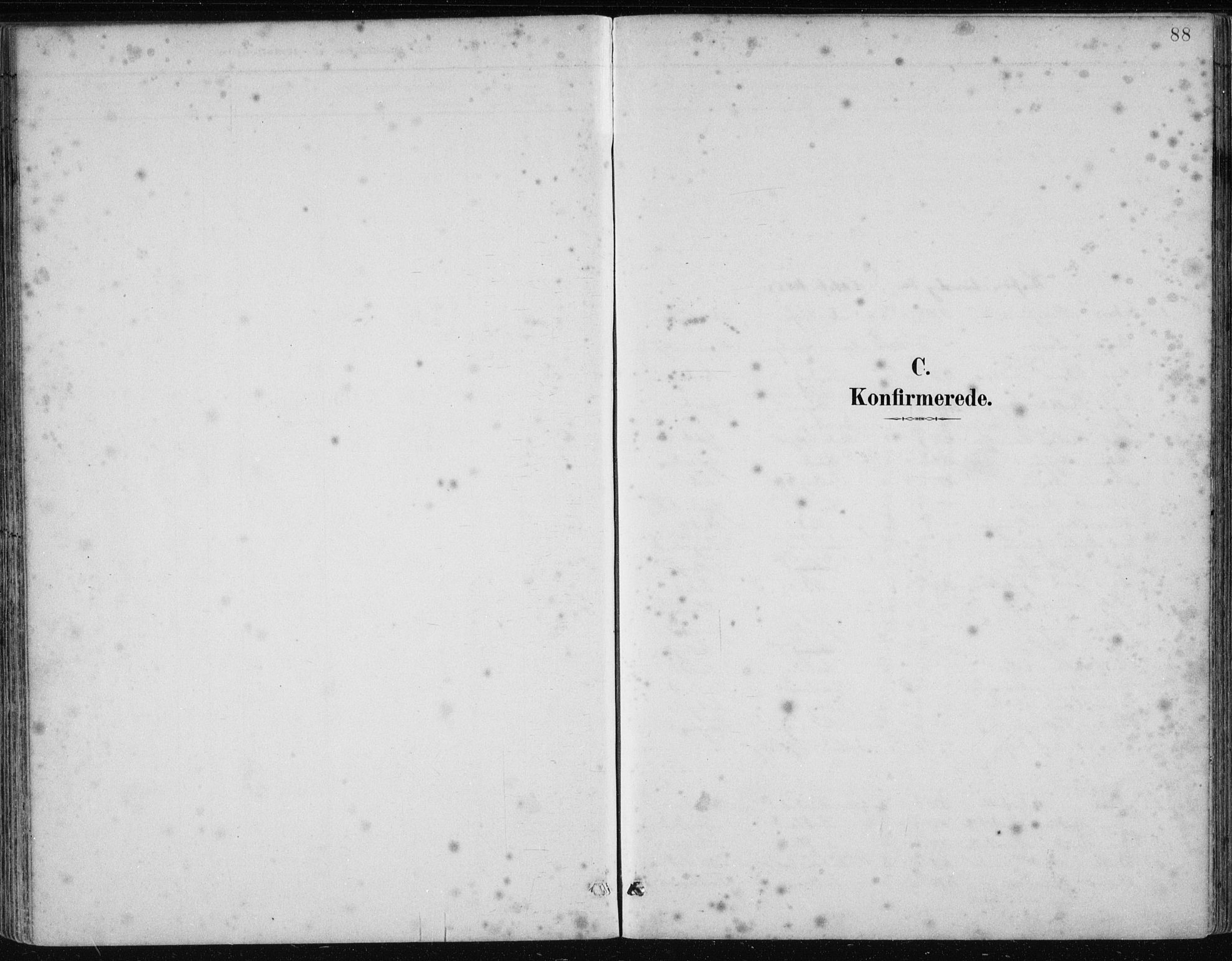 Samnanger Sokneprestembete, AV/SAB-A-77501/H/Haa: Parish register (official) no. A 1, 1885-1901, p. 88