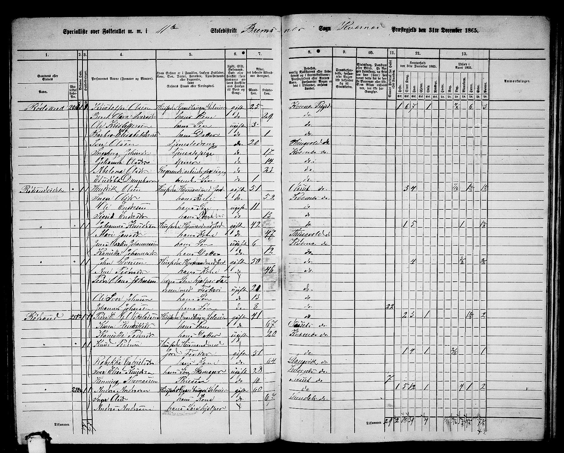 RA, 1865 census for Kvernes, 1865, p. 207