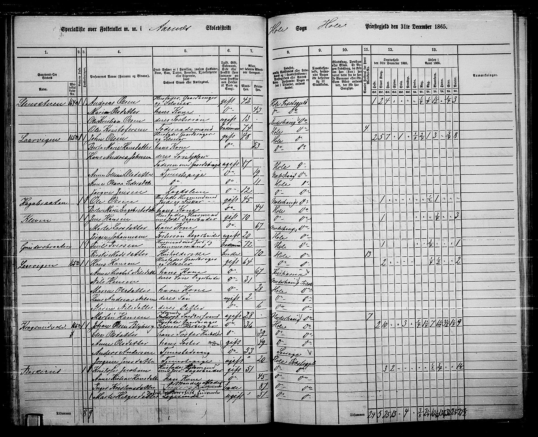RA, 1865 census for Hole, 1865, p. 54