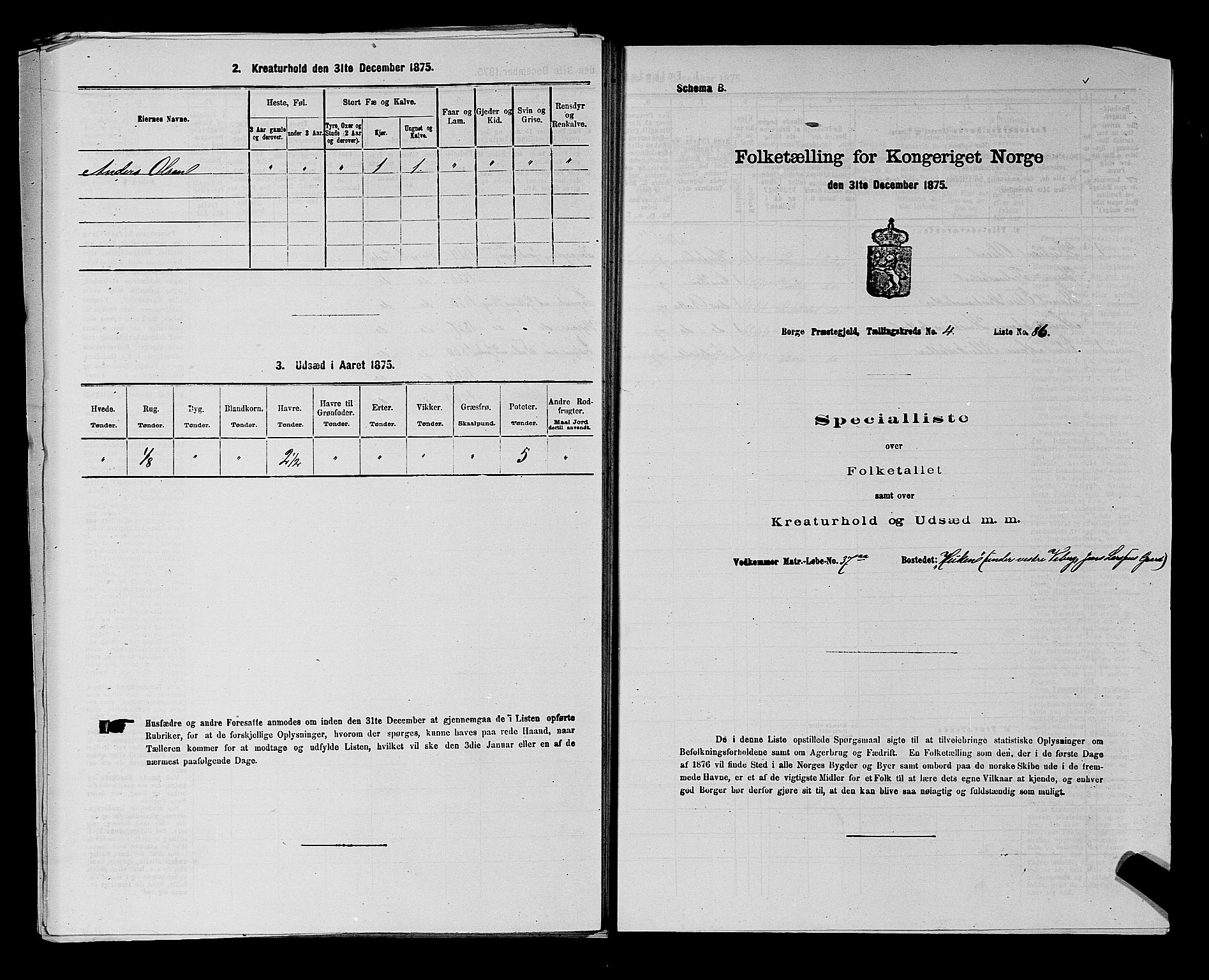 RA, 1875 census for 0113P Borge, 1875, p. 698