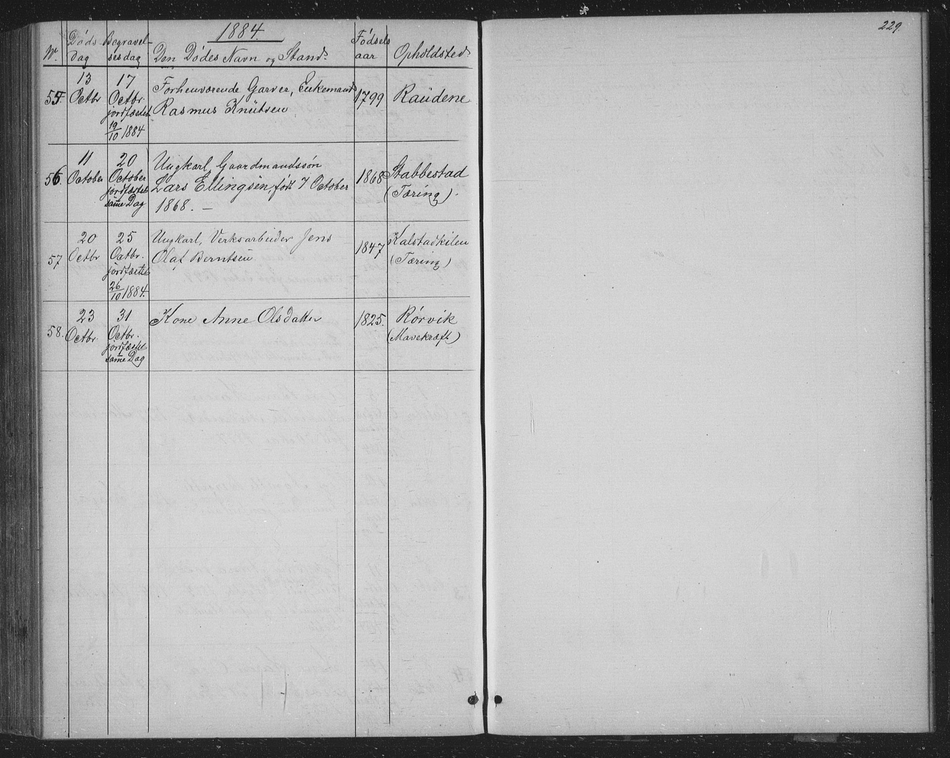 Skåtøy kirkebøker, SAKO/A-304/G/Ga/L0002: Parish register (copy) no. I 2, 1872-1884, p. 229