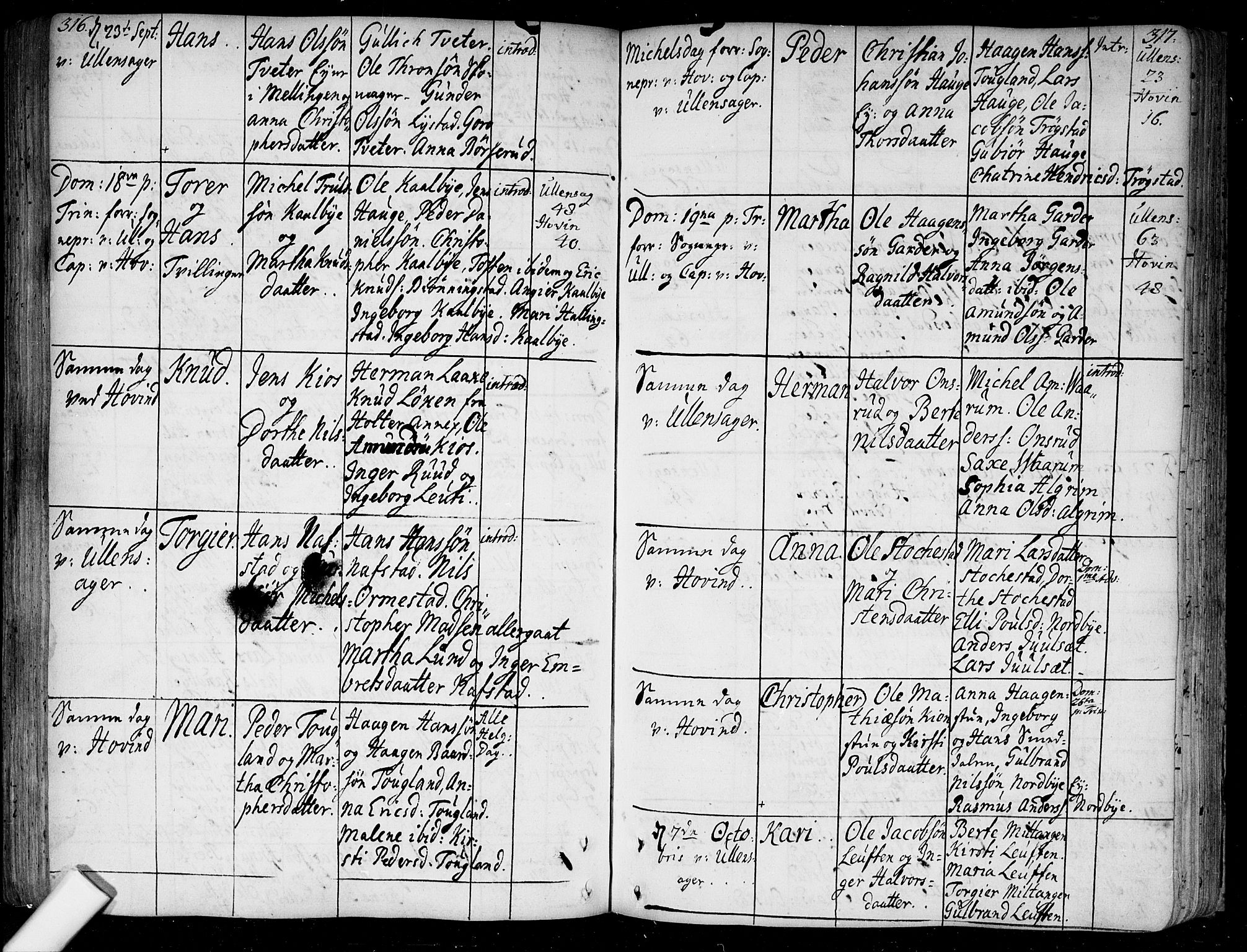 Ullensaker prestekontor Kirkebøker, SAO/A-10236a/F/Fa/L0005: Parish register (official) no. I 5, 1733-1762, p. 316-317
