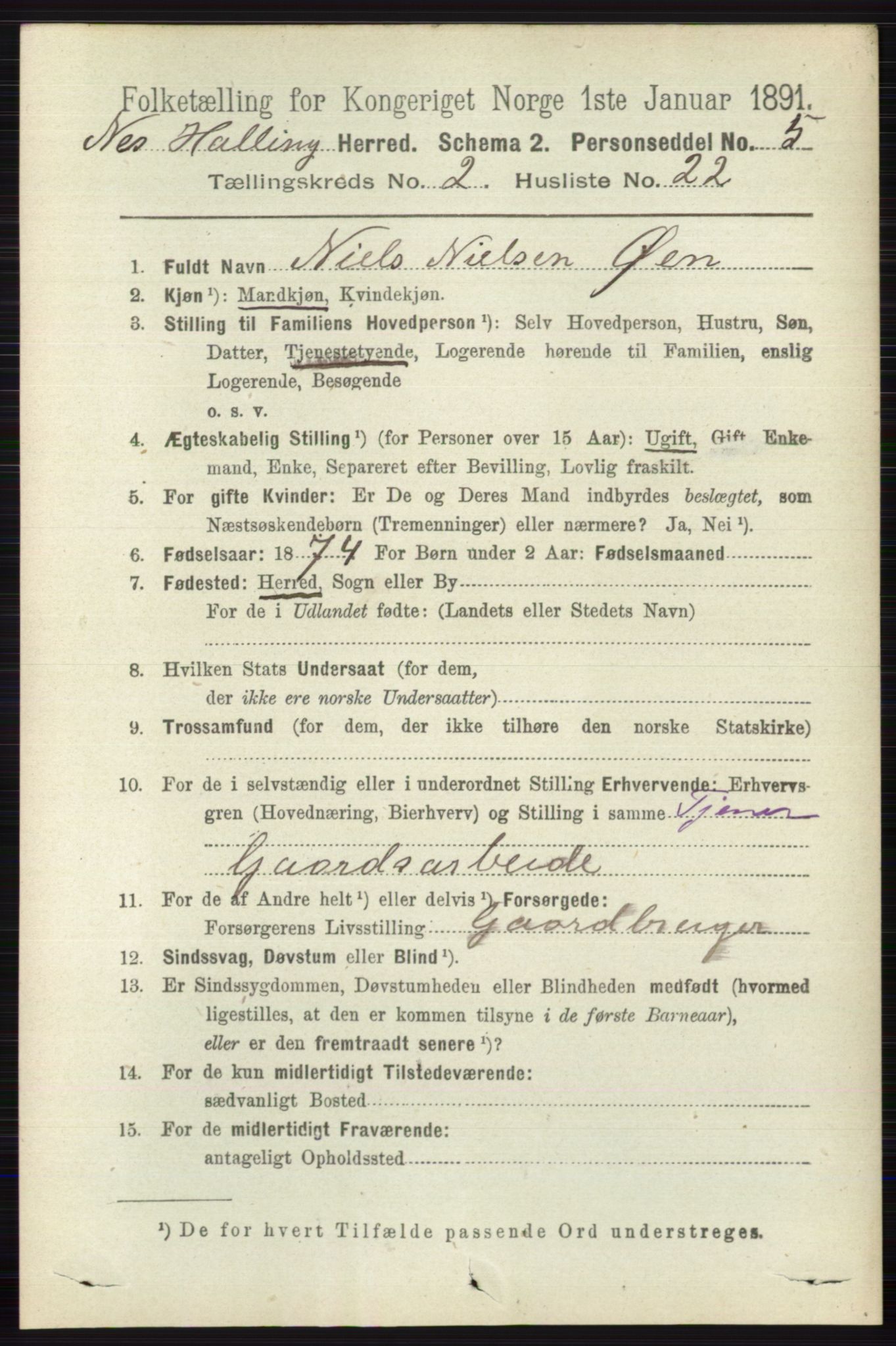 RA, 1891 census for 0616 Nes, 1891, p. 1104