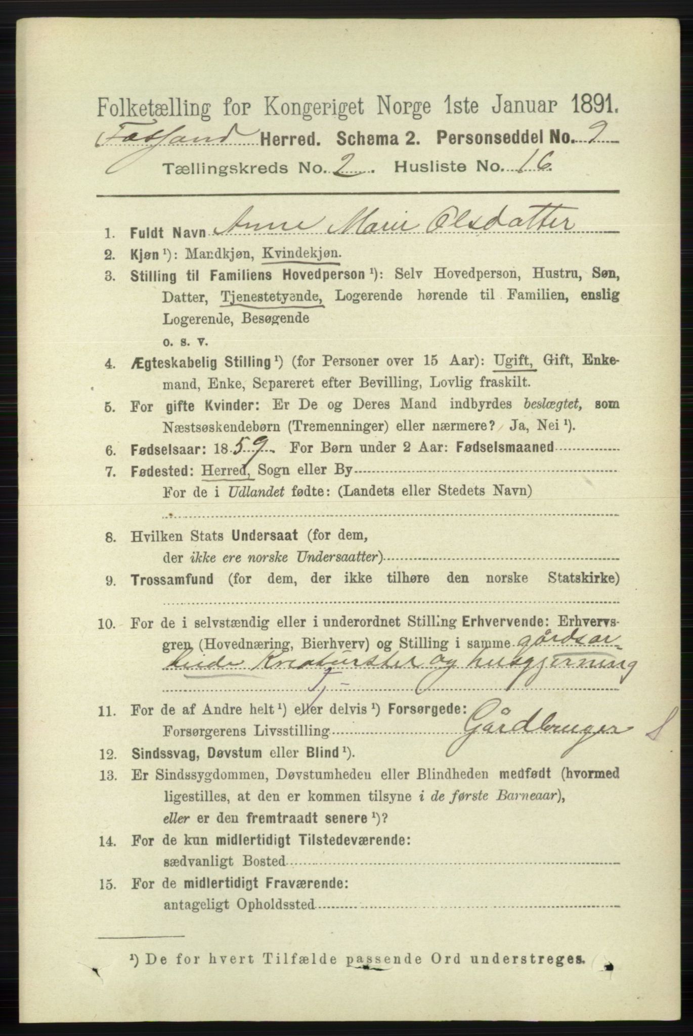 RA, 1891 census for 1129 Forsand, 1891, p. 293